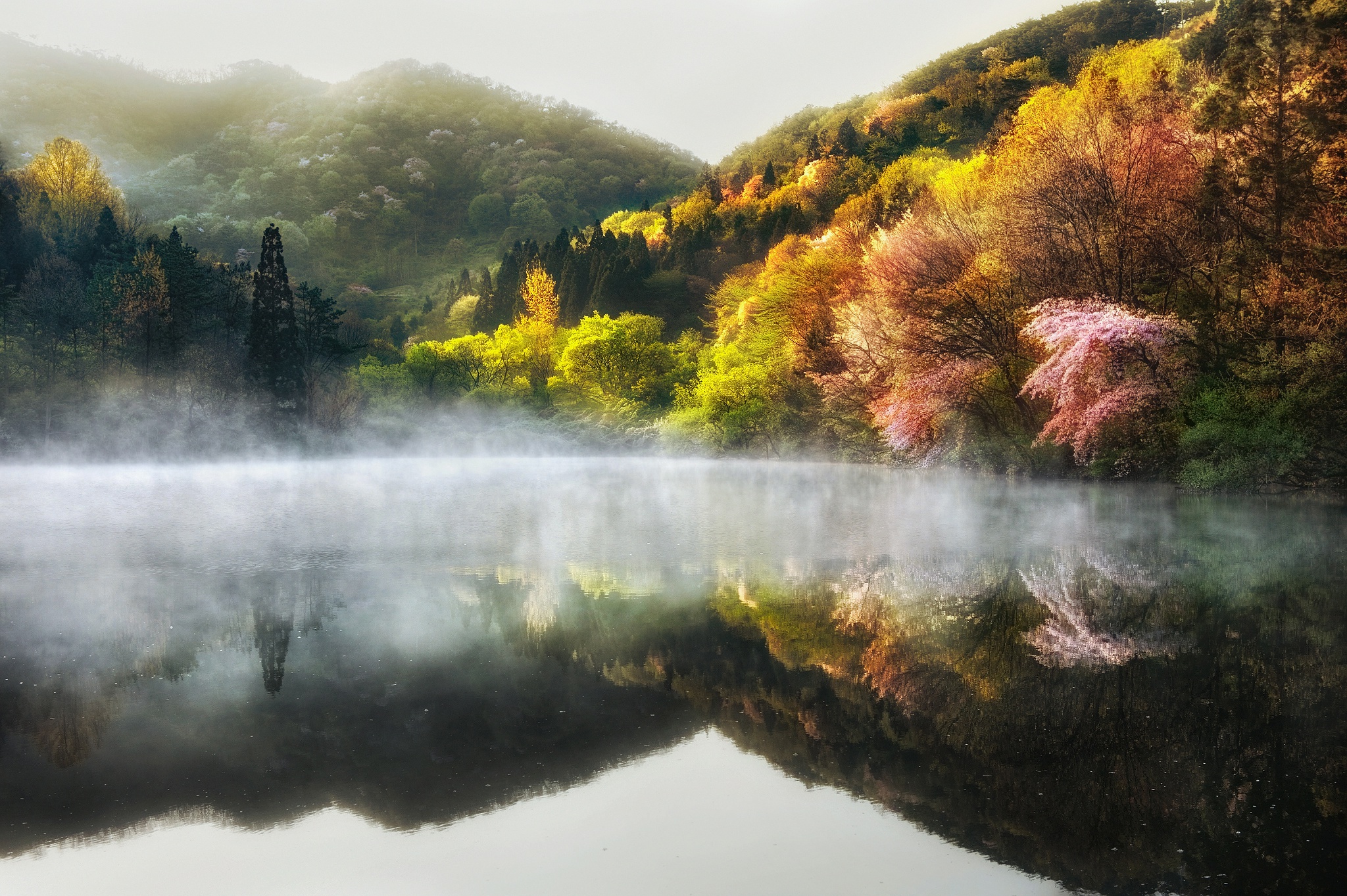 PCデスクトップに自然, 秋, 湖, 反射, 森, 霧, 地球画像を無料でダウンロード