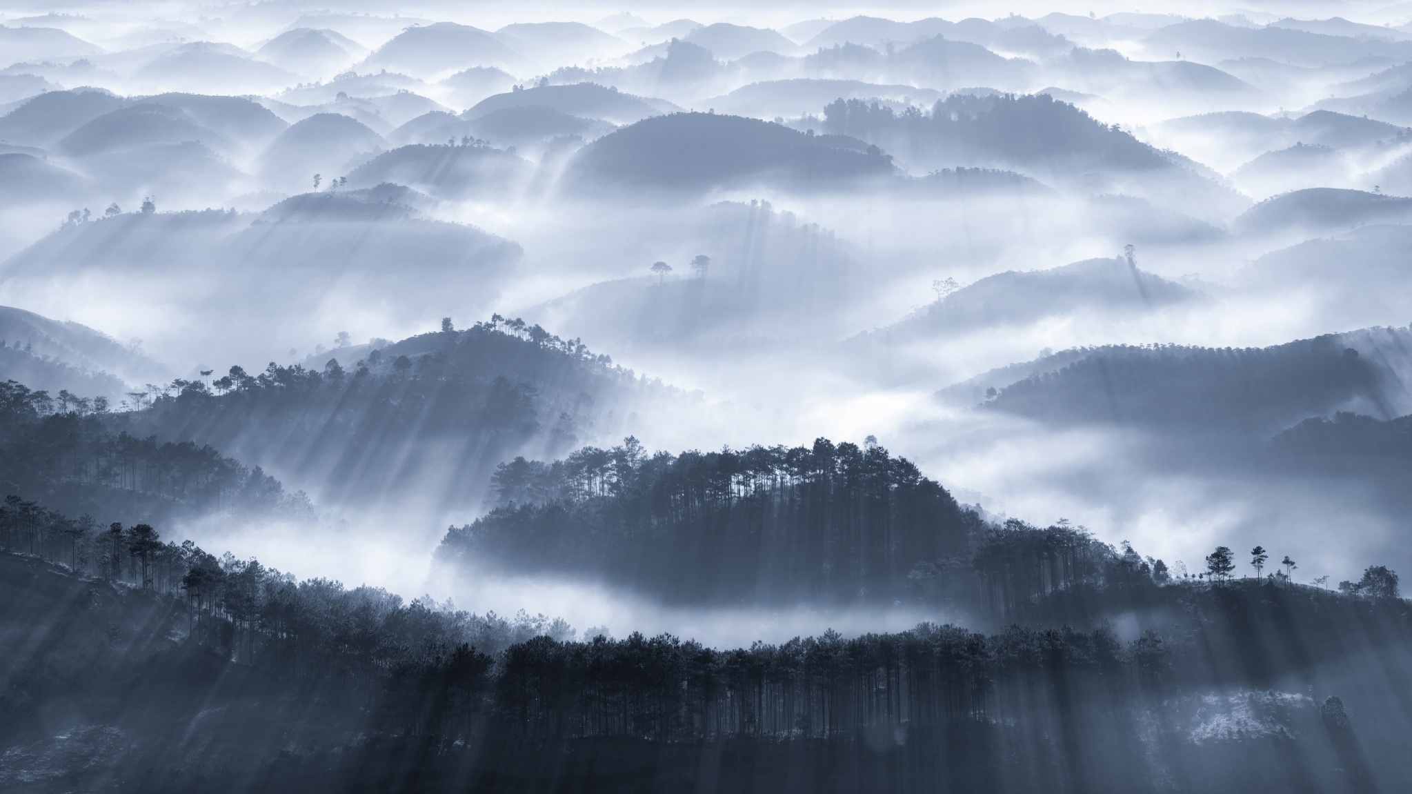 Téléchargez des papiers peints mobile Paysage, Forêt, Brouillard, Colline, La Nature, Terre/nature gratuitement.