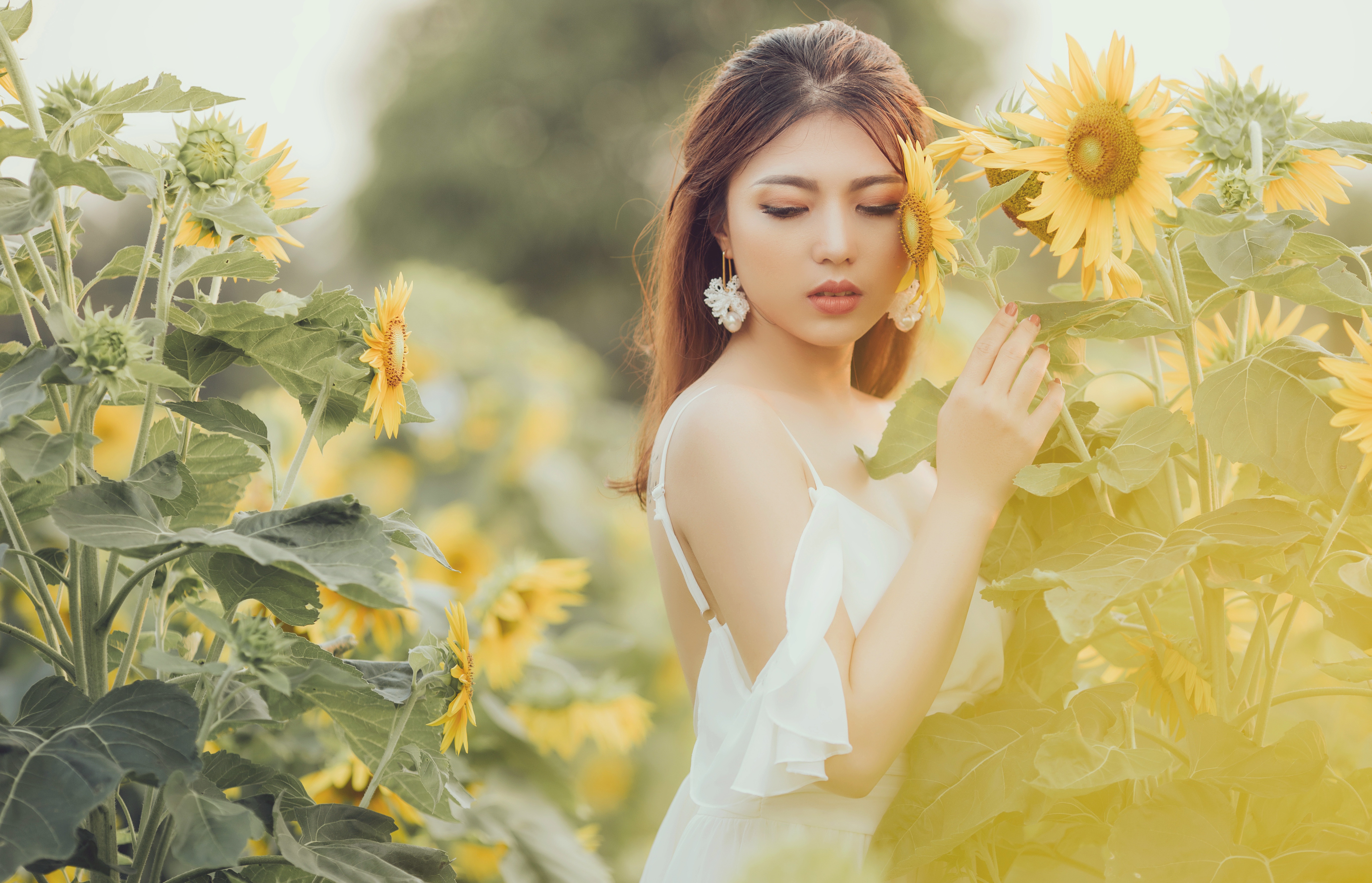 873522 завантажити картинку жінки, азіатський, брюнетка, глибина різкості, сережки, квітка, модель, літо, соняшник, біла сукня, жовта квітка - шпалери і заставки безкоштовно
