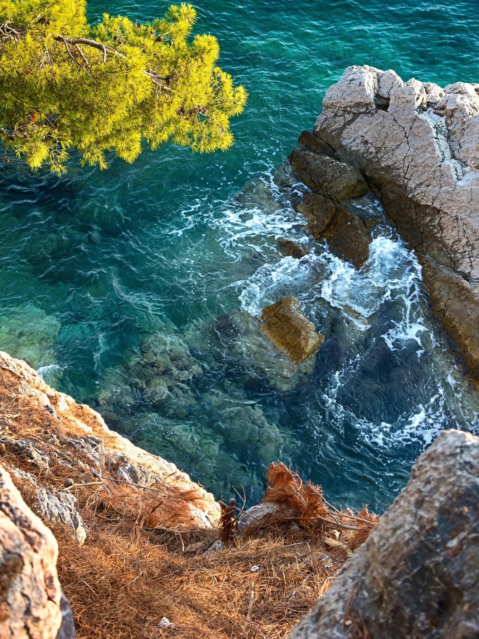 Descarga gratuita de fondo de pantalla para móvil de Costa, Tierra/naturaleza.