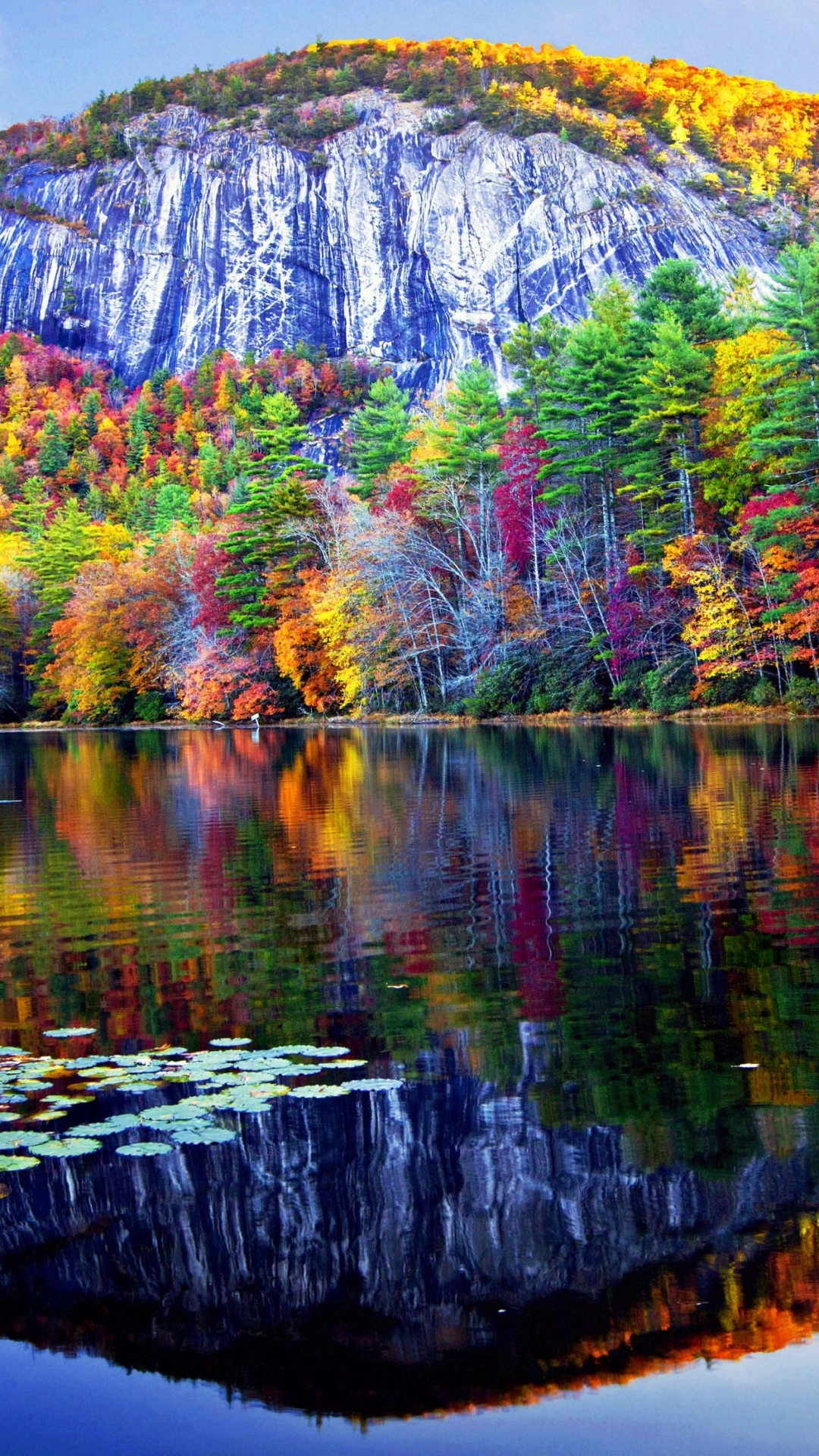 Download mobile wallpaper Mountain, Lake, Reflection, Tree, Fall, Earth for free.