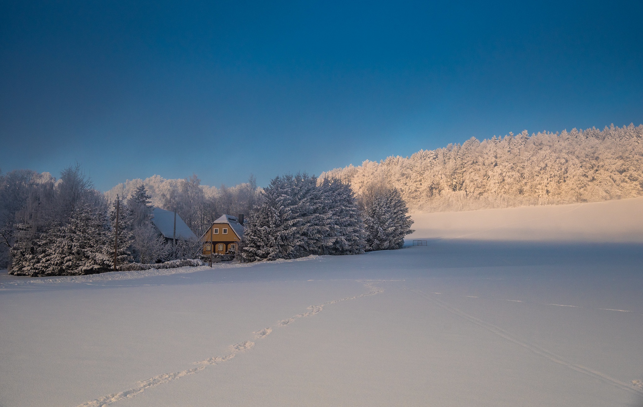 photography, winter, footprint, forest, house, sky, snow