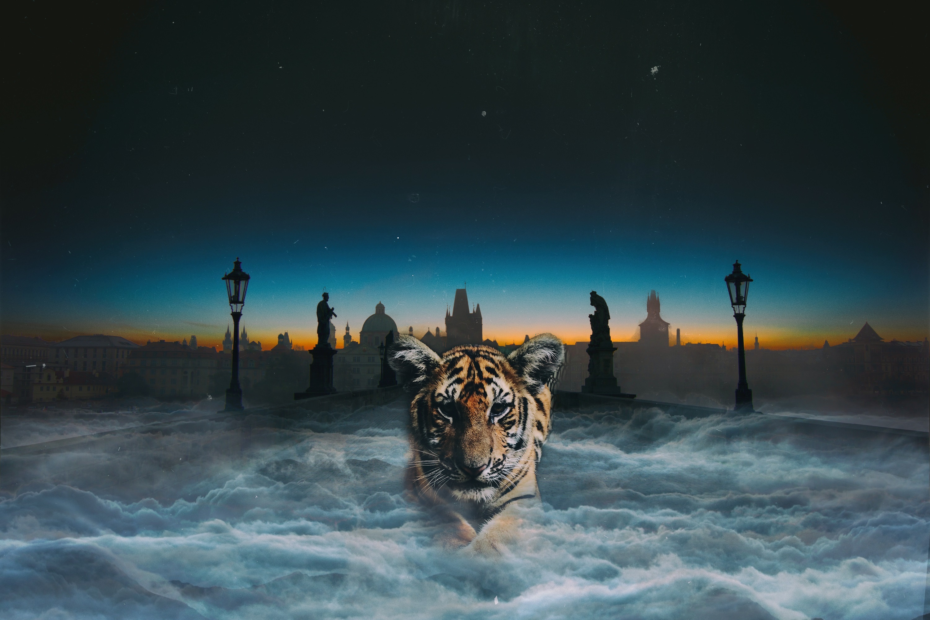56107 Hintergrundbild herunterladen tiere, übernachtung, clouds, tiger, photoshop, tigerjunges - Bildschirmschoner und Bilder kostenlos