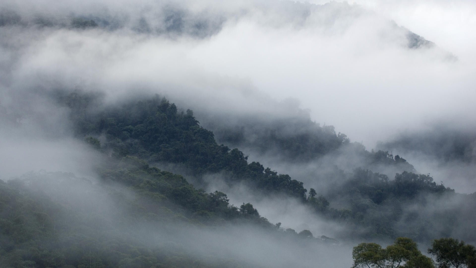 Baixar papel de parede para celular de Neblina, Terra/natureza gratuito.