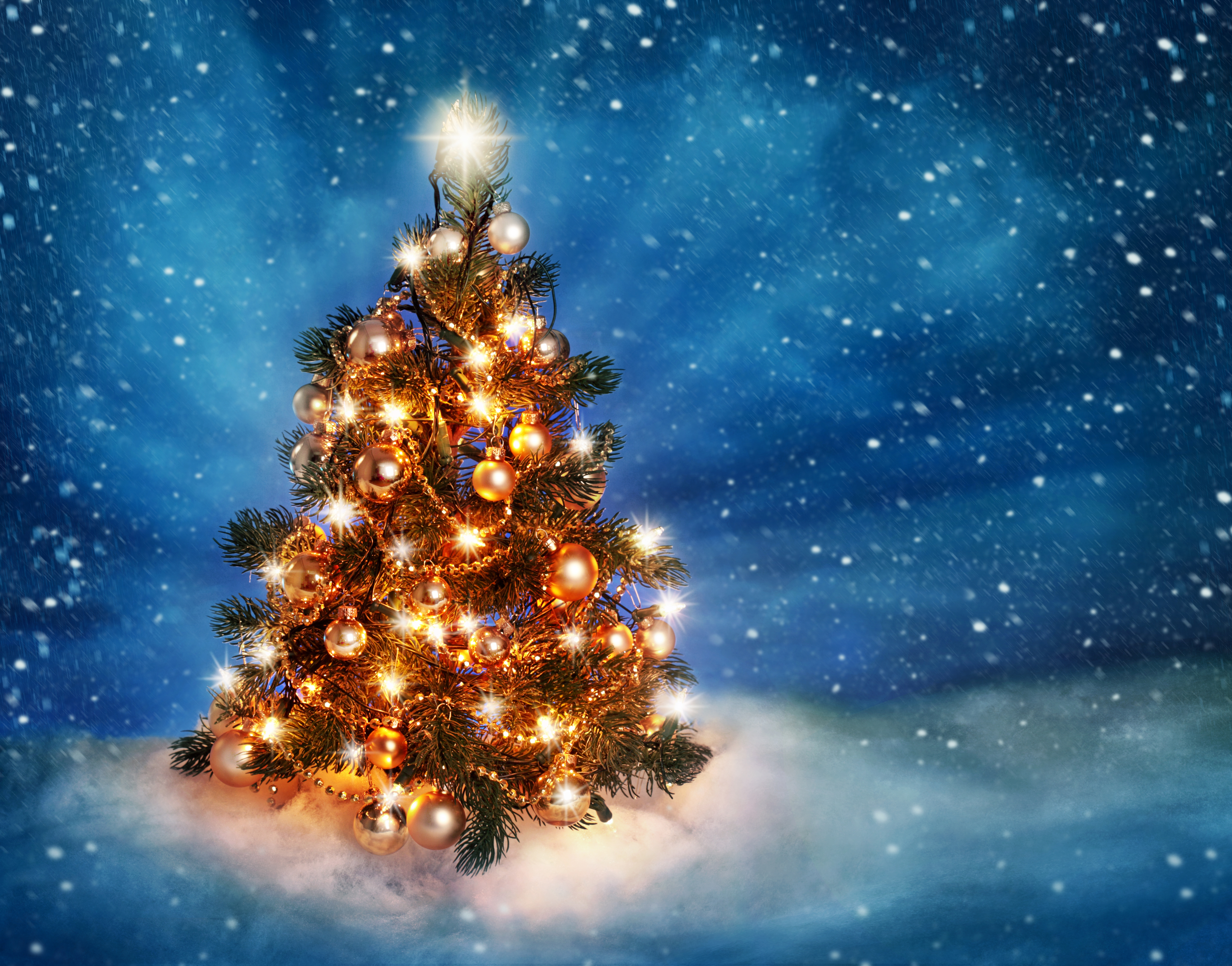 PCデスクトップにクリスマス, クリスマスツリー, クリスマスオーナメント, ホリデー, クリスマスのあかり画像を無料でダウンロード