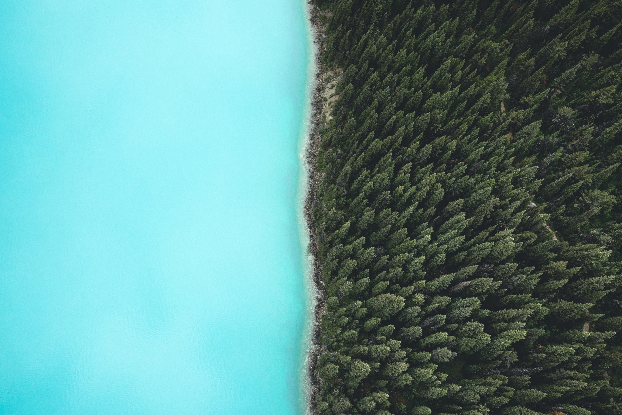 Laden Sie das Küste, Wald, Erde/natur, Luftbildfotografie-Bild kostenlos auf Ihren PC-Desktop herunter