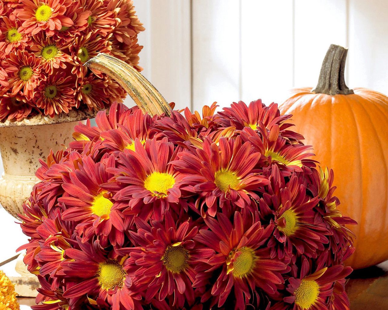 pumpkin, flowers, chrysanthemum, buds, composition