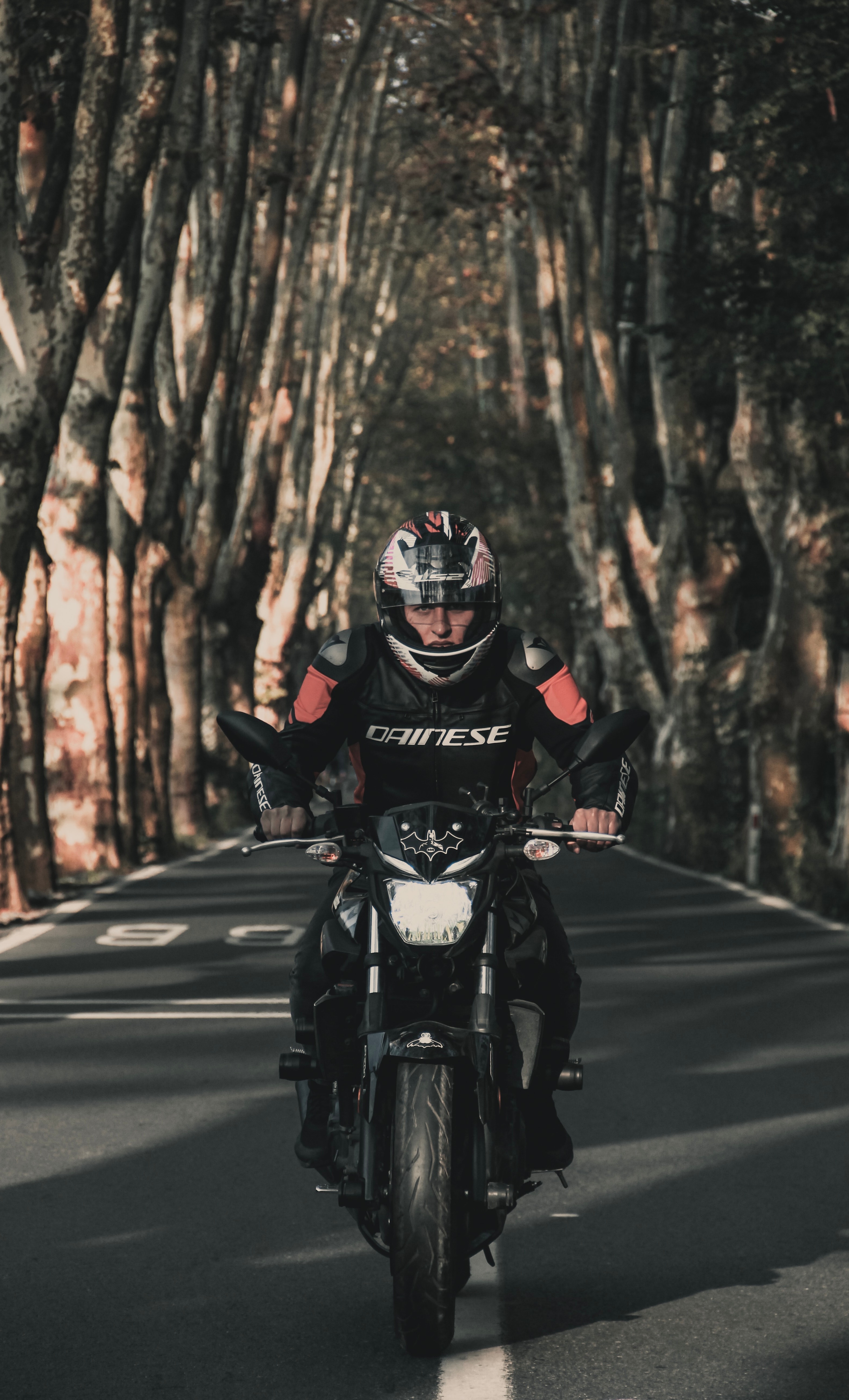 83135 descargar fondo de pantalla motocicletas, camino, motociclista, motocicleta, bicicleta, ciclista: protectores de pantalla e imágenes gratis