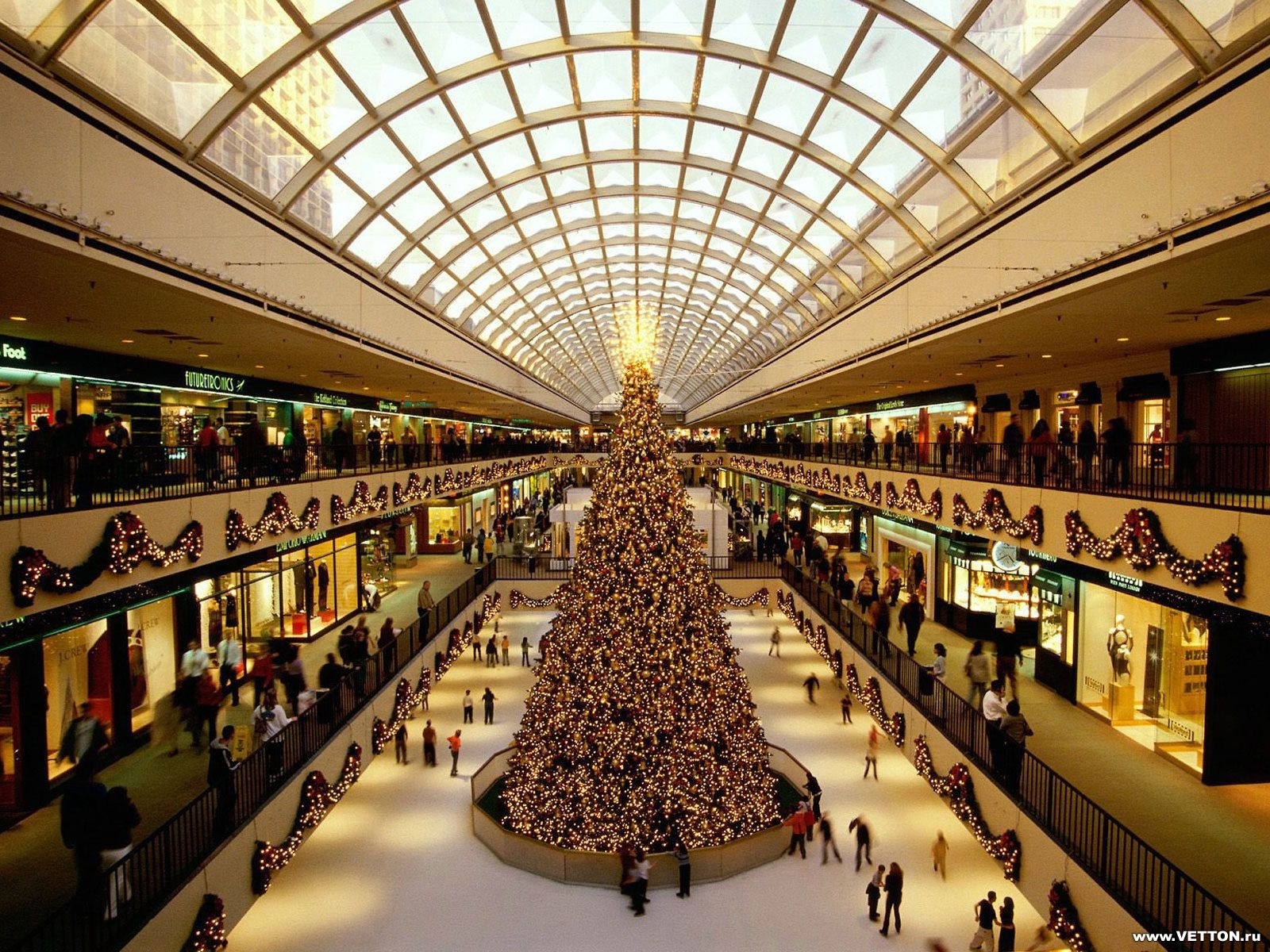 new year, cities, people, holidays, fir trees, christmas xmas Free Stock Photo