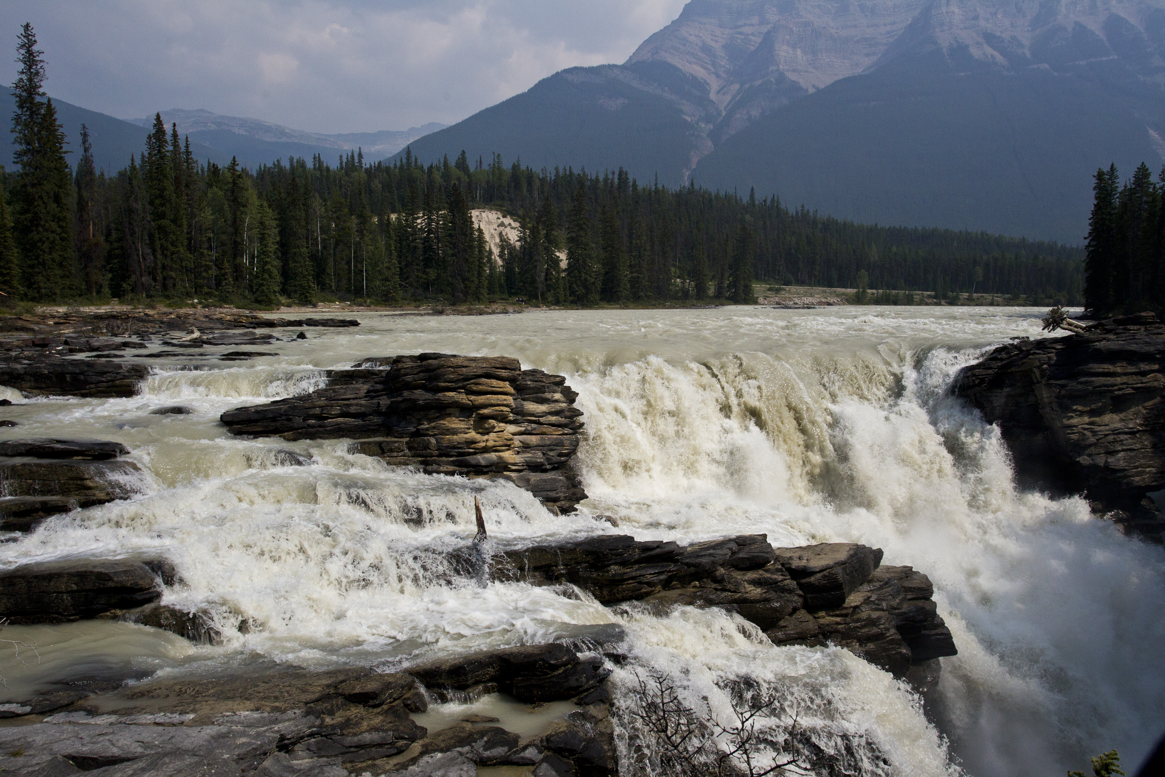 earth, athabasca falls, canada, forest, jasper national park, nature, river, waterfall, waterfalls