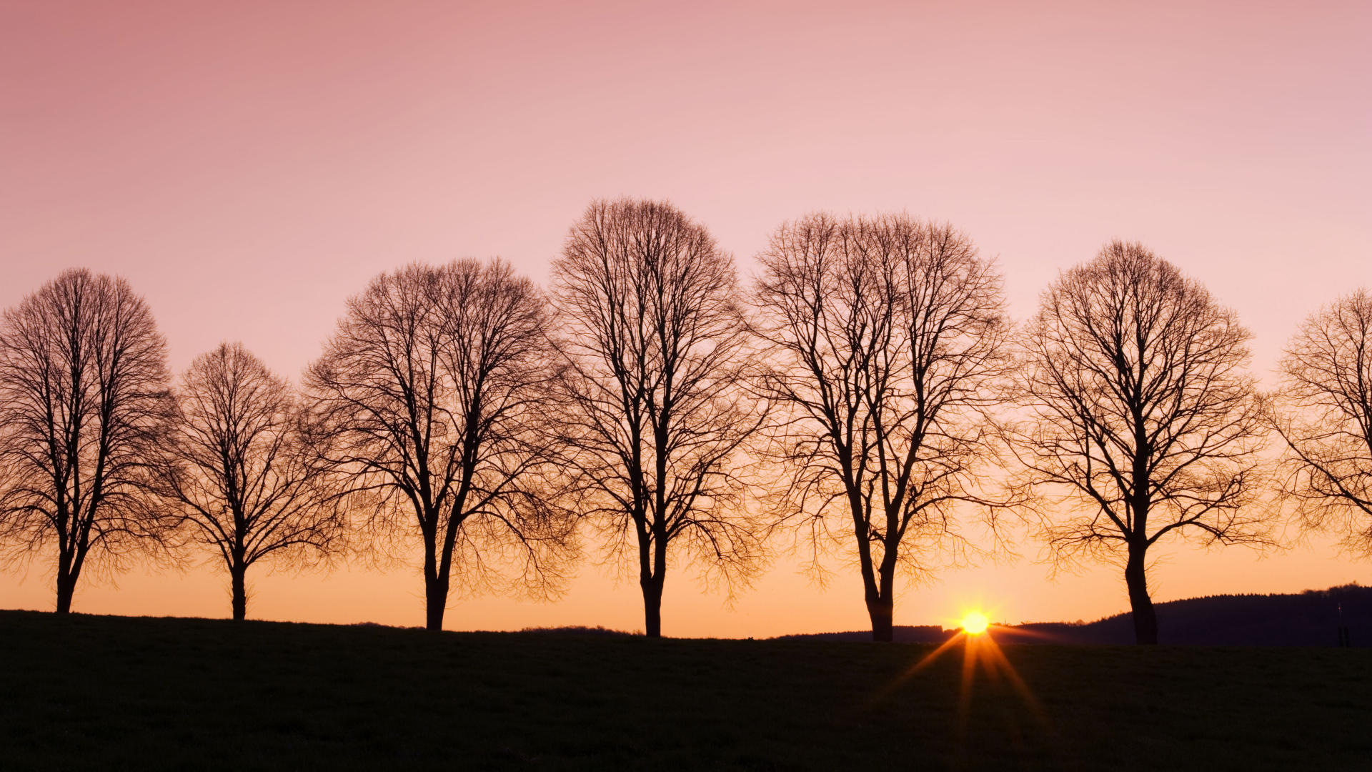 Скачать картинку Закат Солнца, Дерево, Земля/природа в телефон бесплатно.
