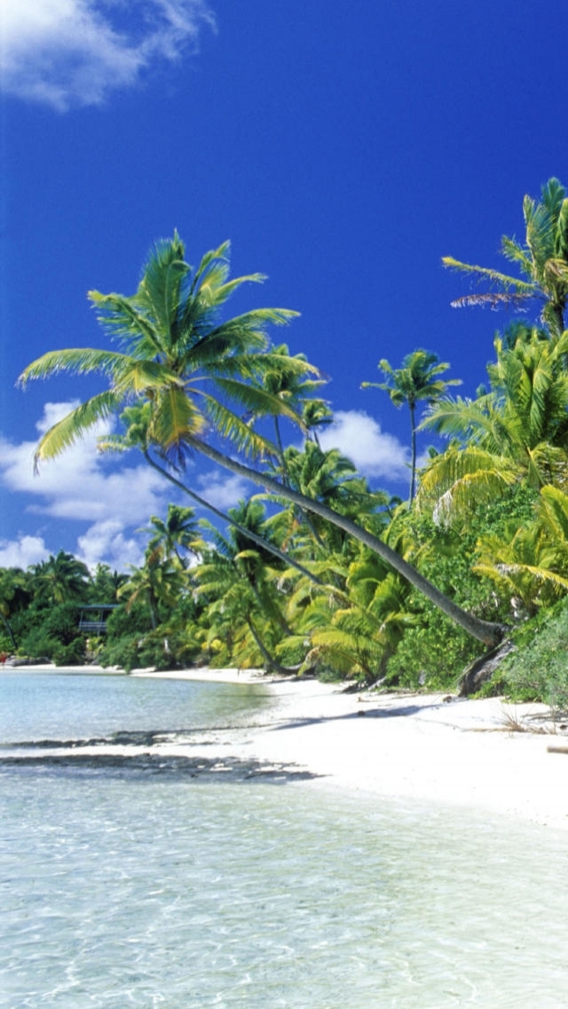 Descarga gratuita de fondo de pantalla para móvil de Playa, Tierra/naturaleza.