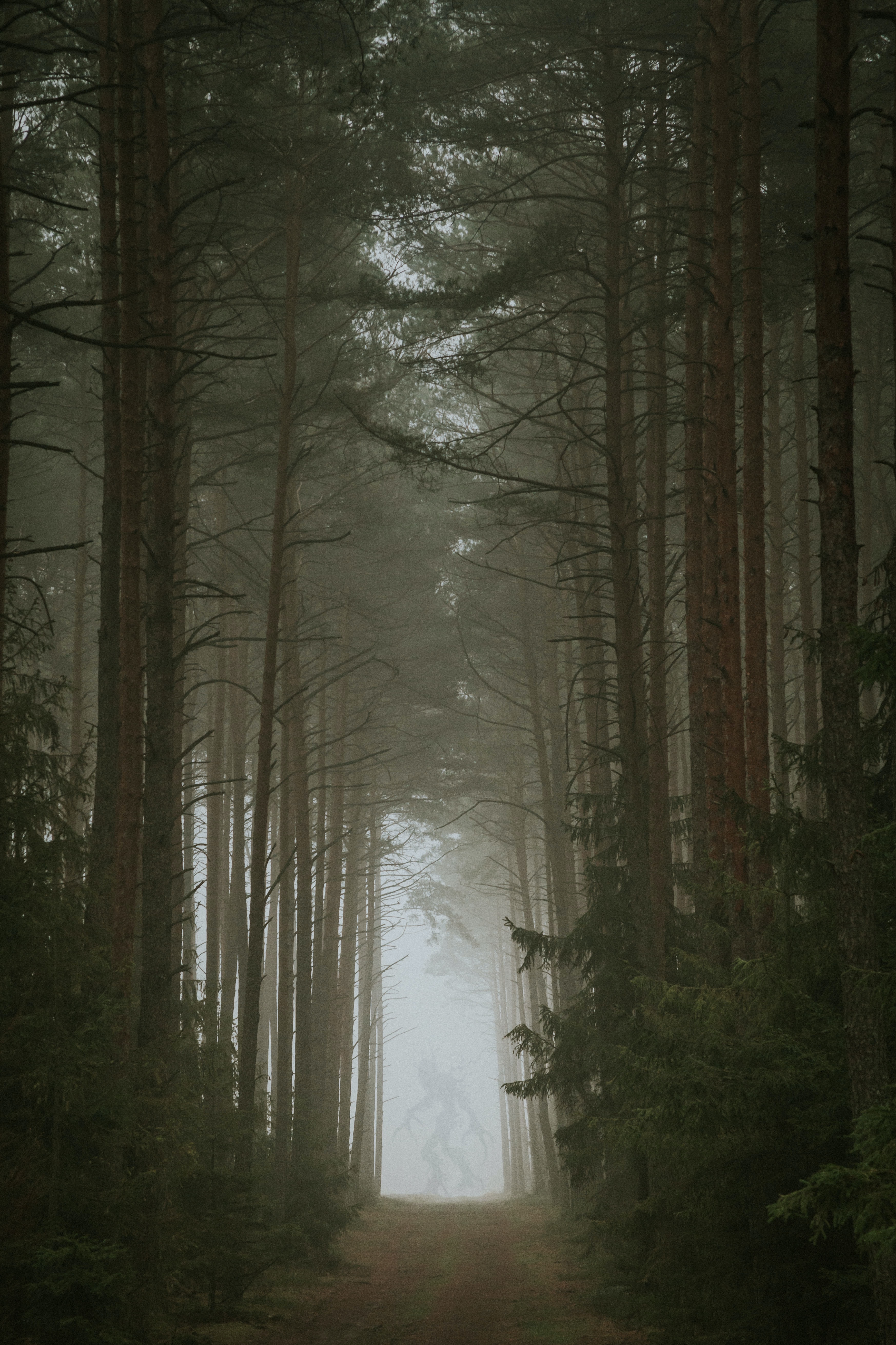 Download mobile wallpaper Fog, Forest, Nature, Silhouette, Monster for free.