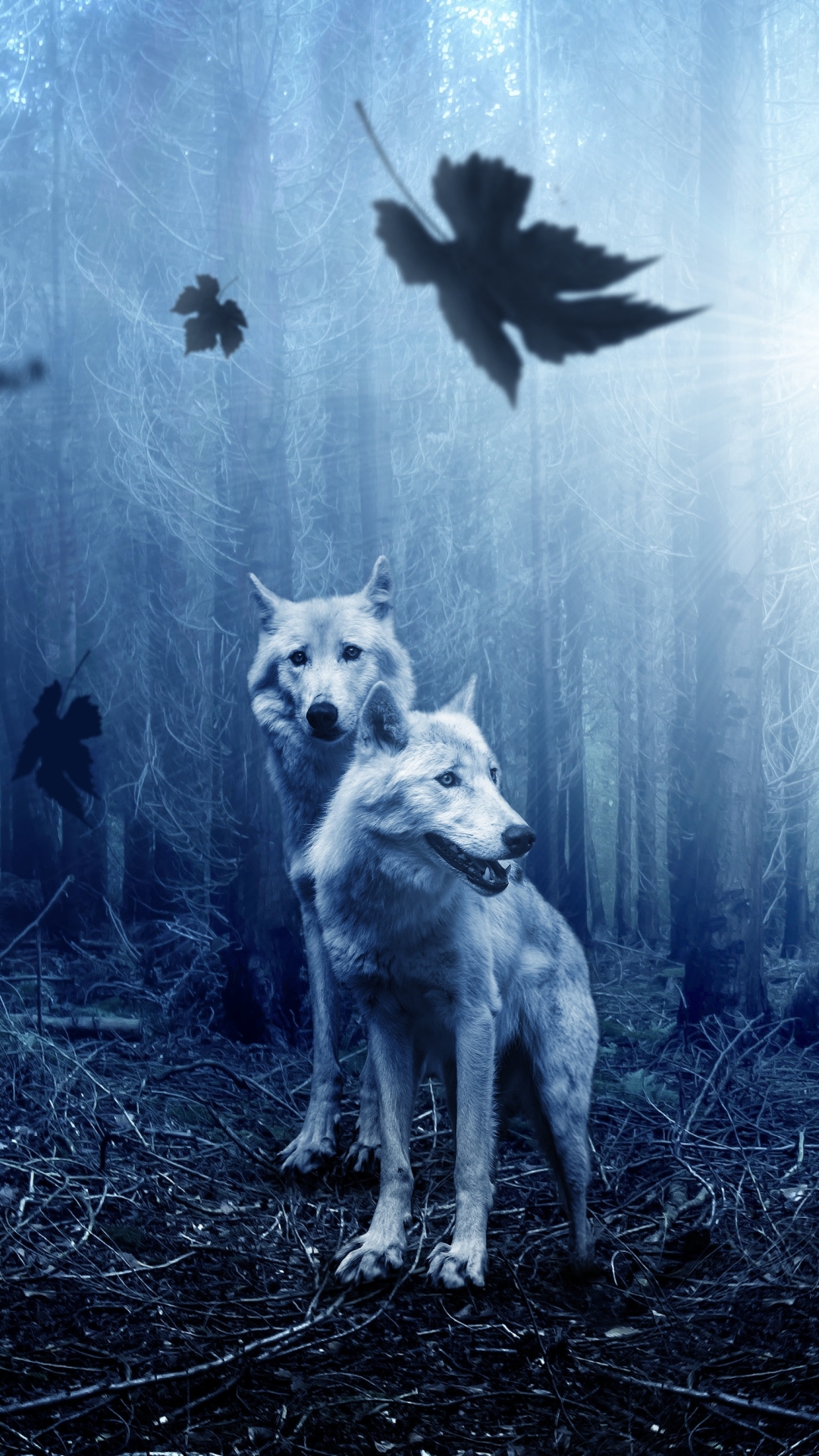 Download mobile wallpaper Forest, Wolf, Animal, Wolves for free.