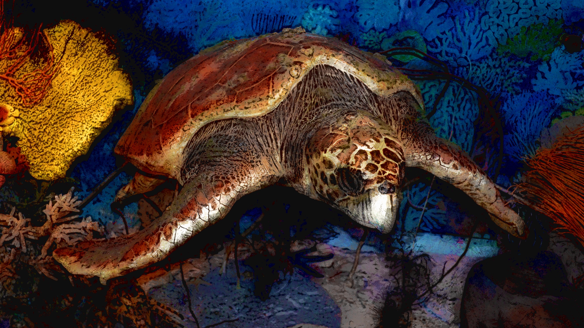 421615 Hintergrundbild herunterladen tiere, schildkröte, illustration, schildkröten - Bildschirmschoner und Bilder kostenlos