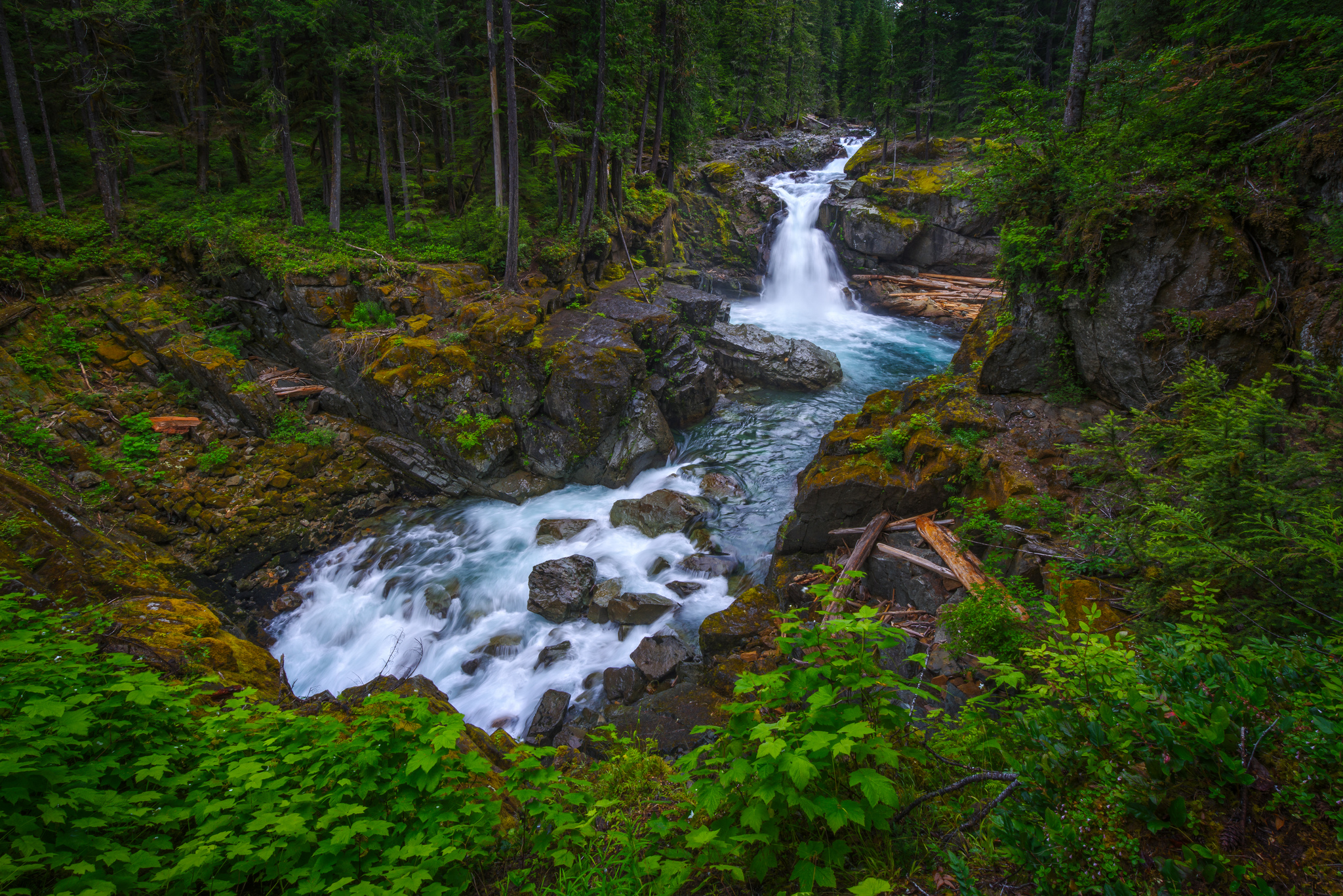 Скачать картинку Водопад, Лес, Зеленый, Ручей, Земля/природа в телефон бесплатно.