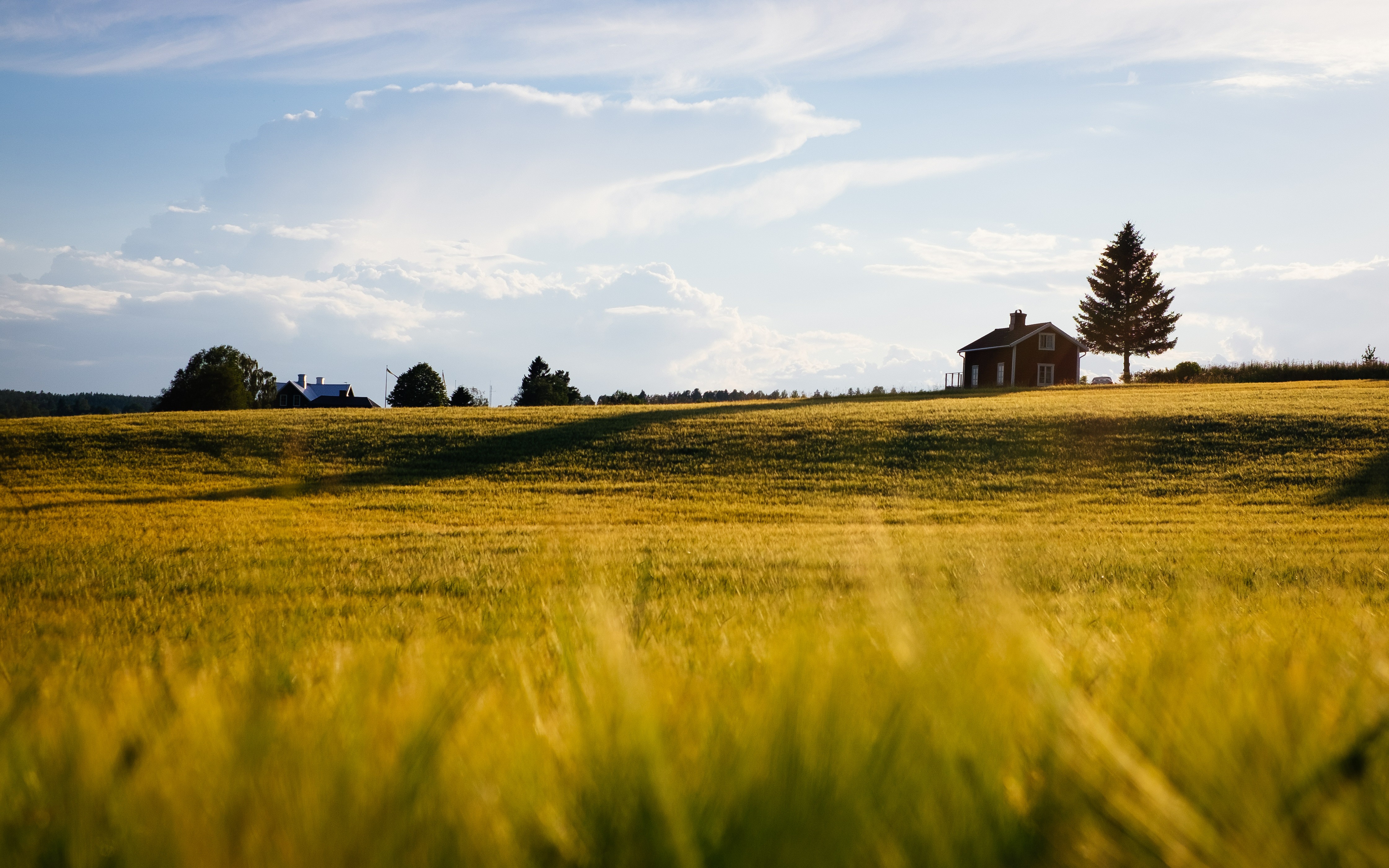 Baixe gratuitamente a imagem Paisagem, Fotografia na área de trabalho do seu PC