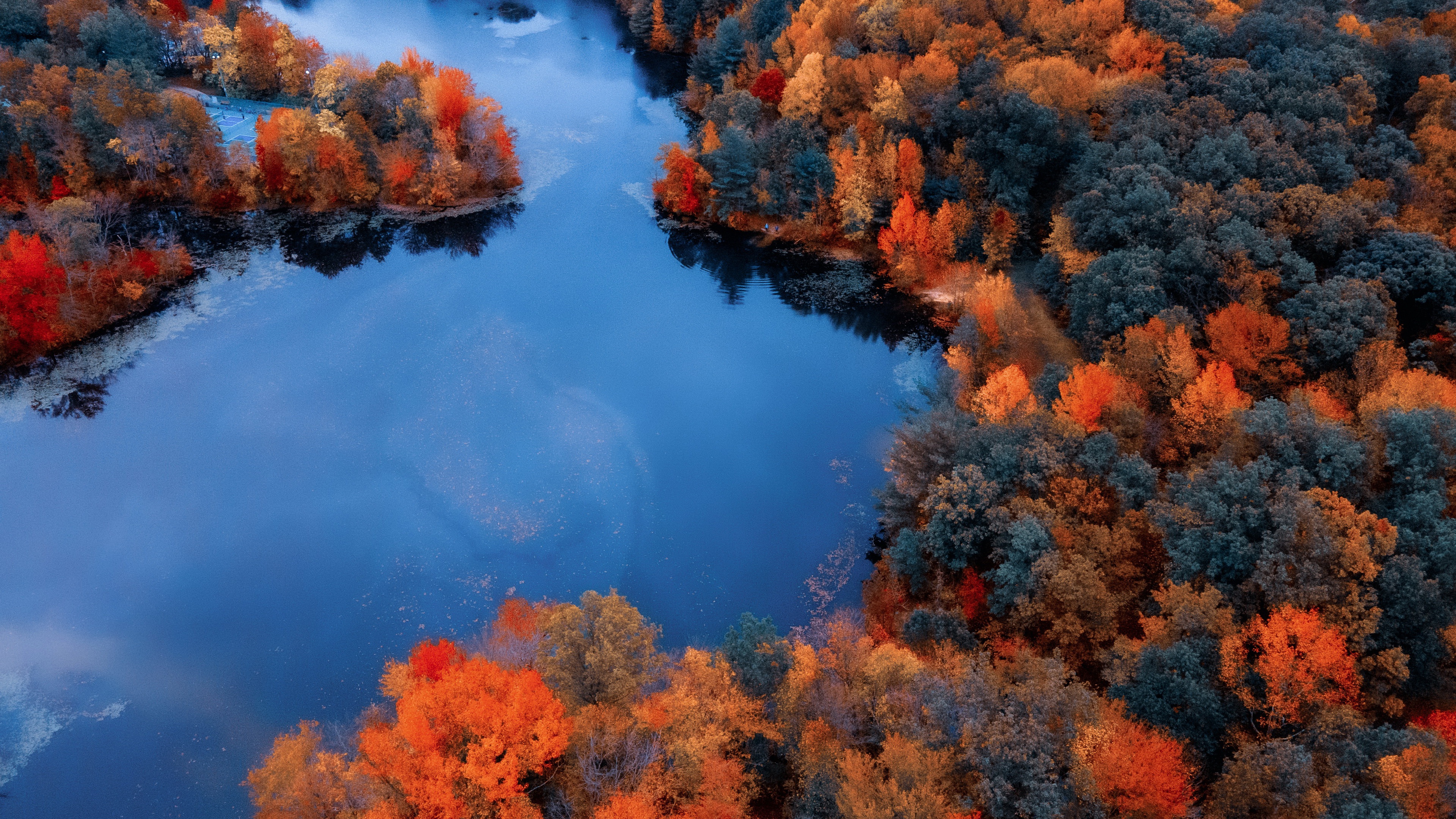 Laden Sie das Herbst, Wald, Fluss, Erde/natur-Bild kostenlos auf Ihren PC-Desktop herunter