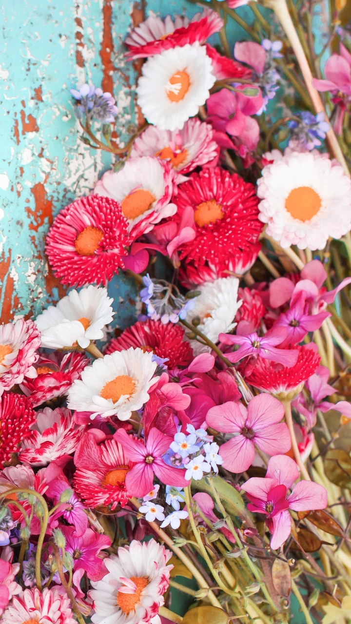 Baixar papel de parede para celular de Flor, Flor Rosa, Flor Branca, Feito Pelo Homem gratuito.