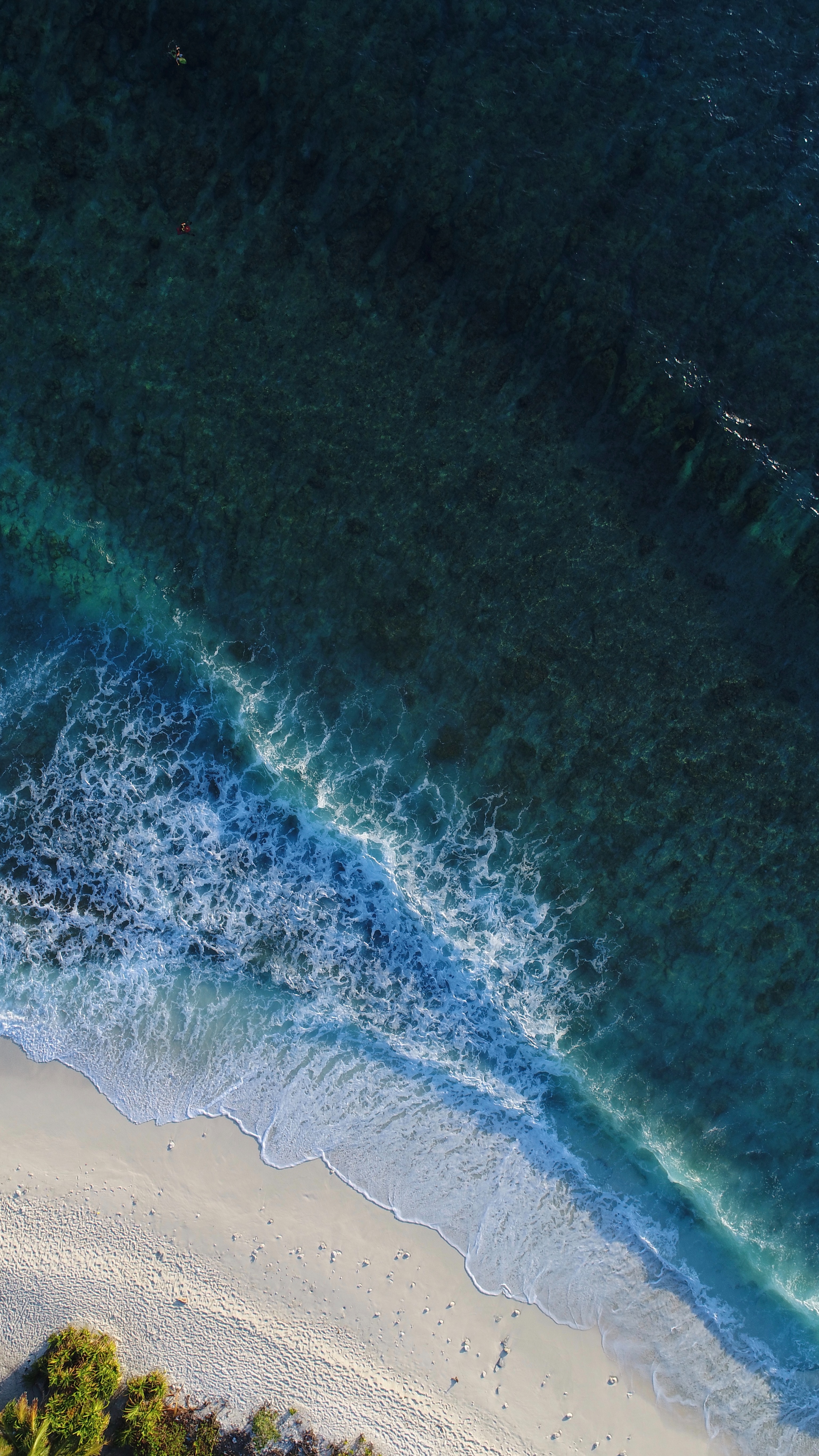 158060 télécharger le fond d'écran océan, le surf, nature, eau, vue d'en haut, vue d’en haut, surfer, maldives - économiseurs d'écran et images gratuitement
