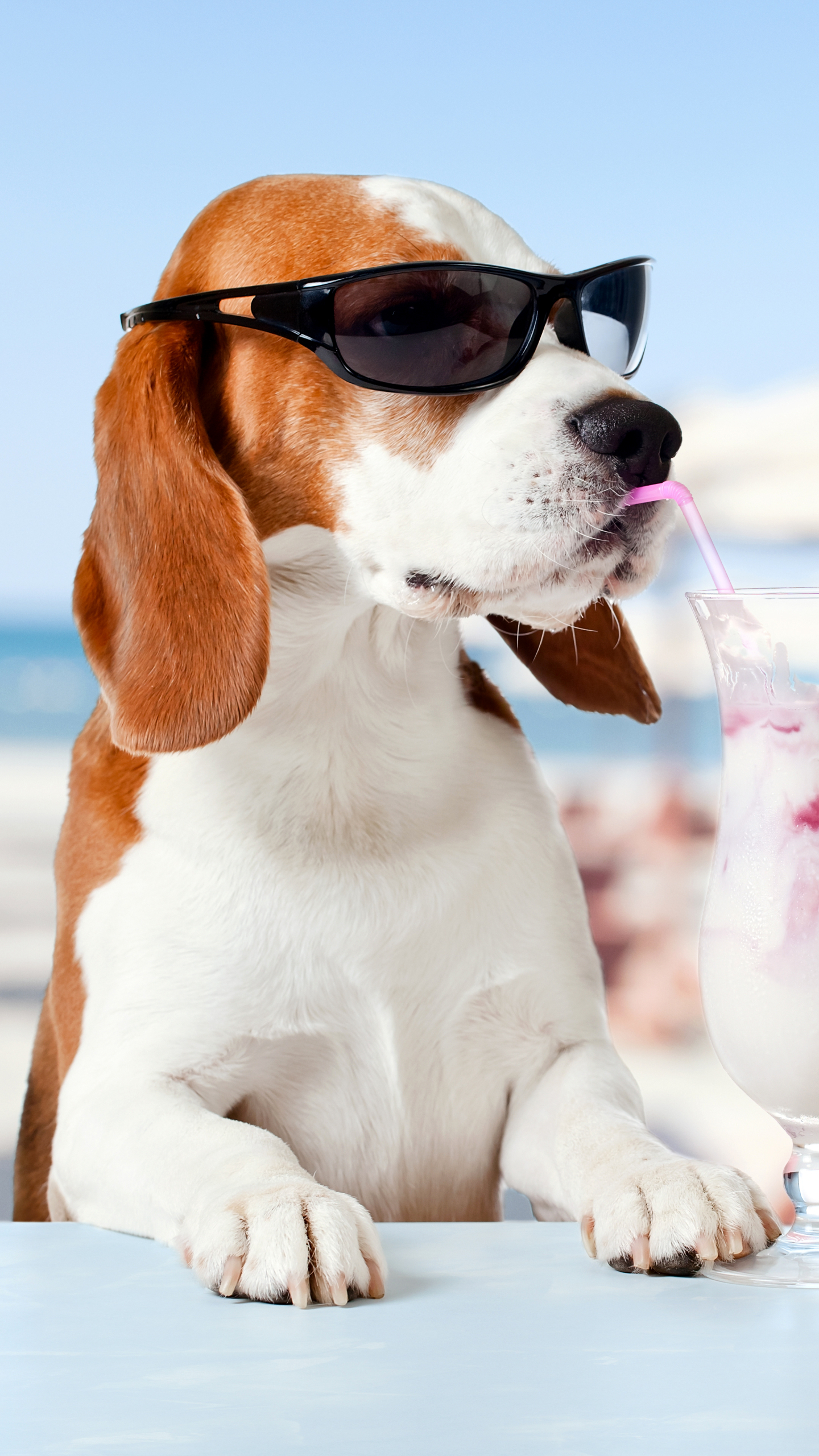 Download mobile wallpaper Dogs, Summer, Ice Cream, Dog, Animal, Sunglasses, Beagle, Humor for free.