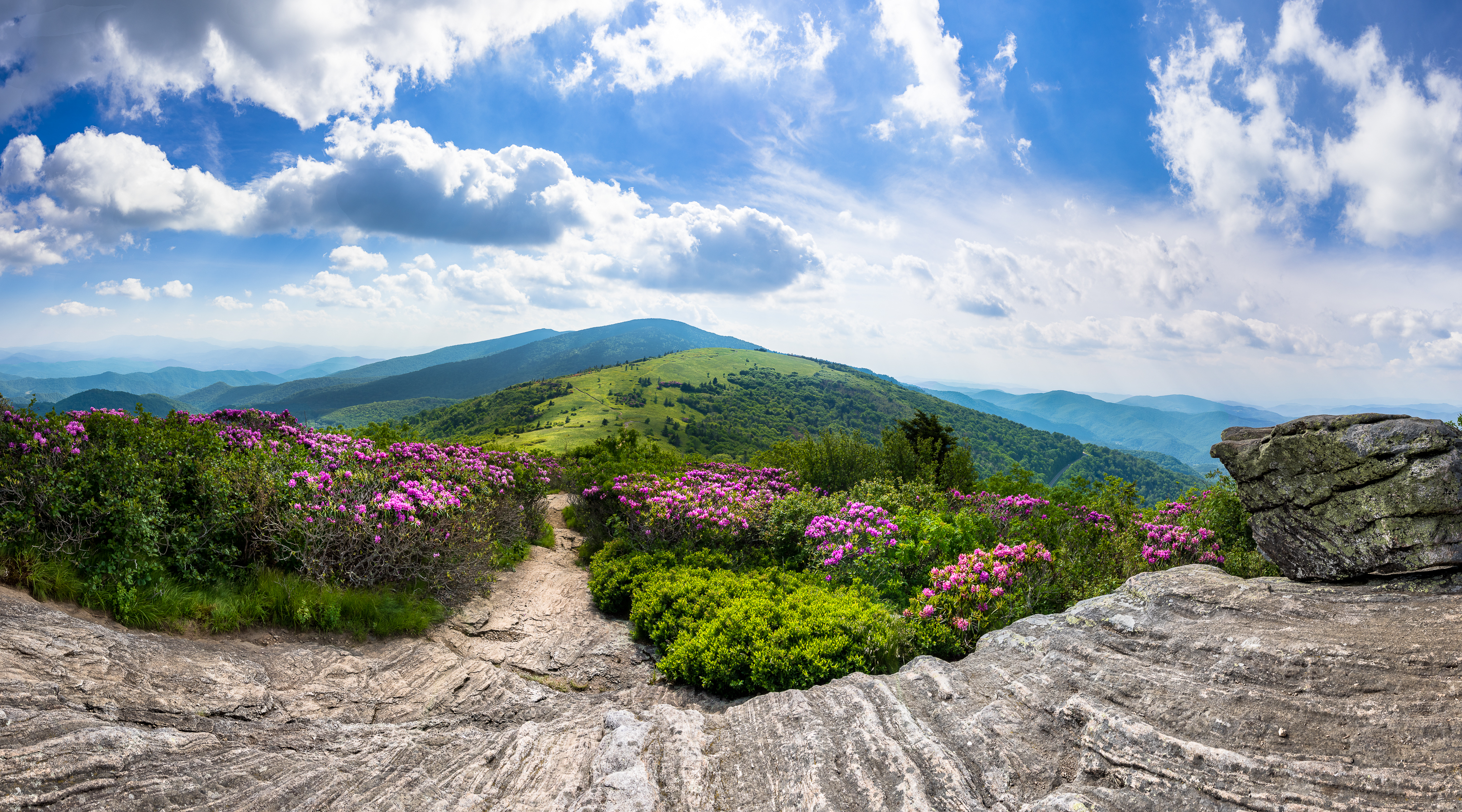 Free download wallpaper Sky, Mountains, Horizon, Mountain, Forest, Earth, Path, Cloud, Purple Flower on your PC desktop