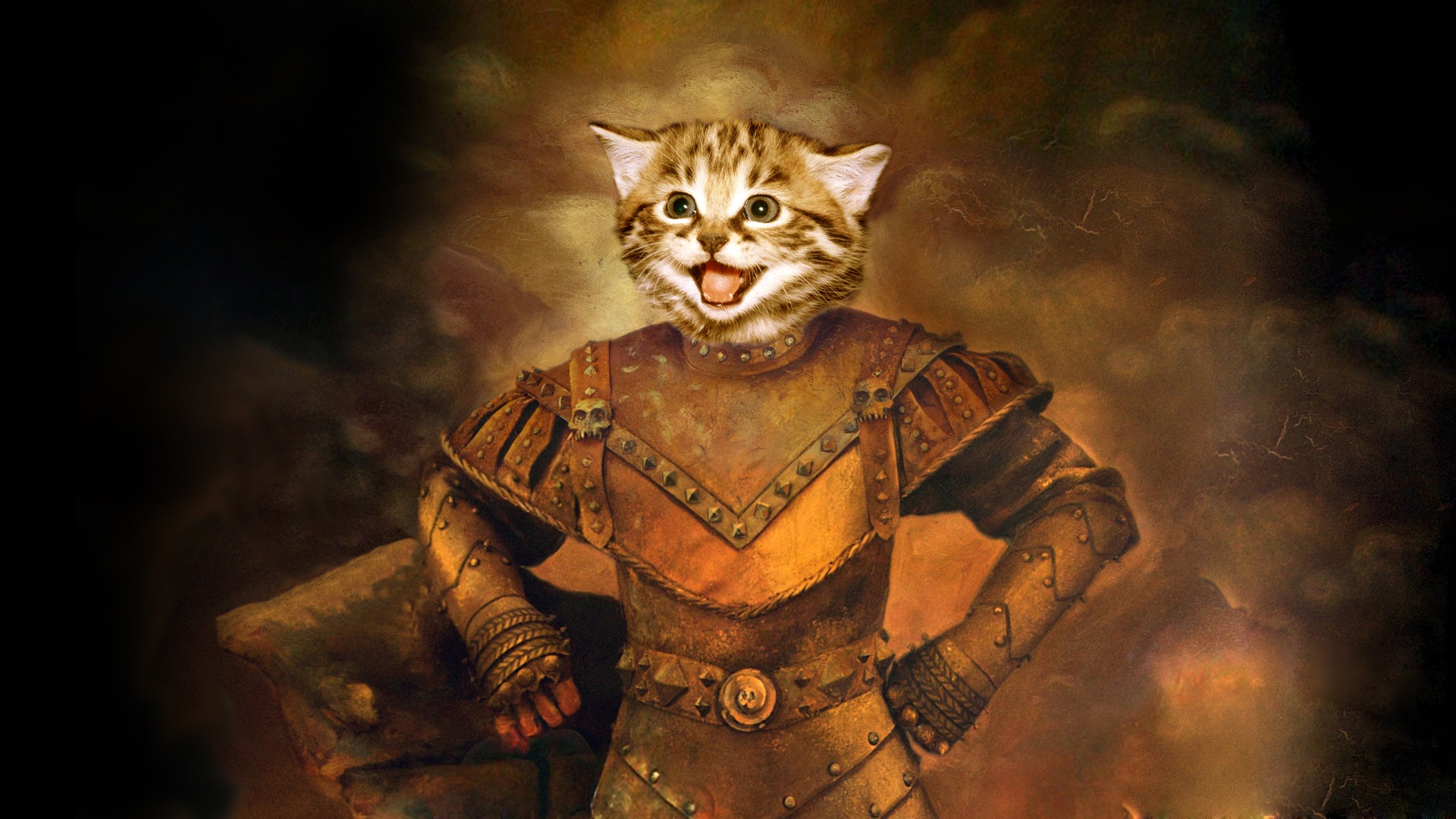 Baixe gratuitamente a imagem Fantasia, Gato na área de trabalho do seu PC