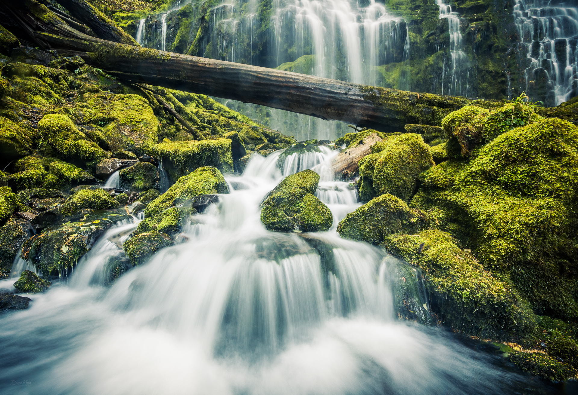 Download mobile wallpaper Nature, Waterfalls, Waterfall, Earth, Moss, Log for free.