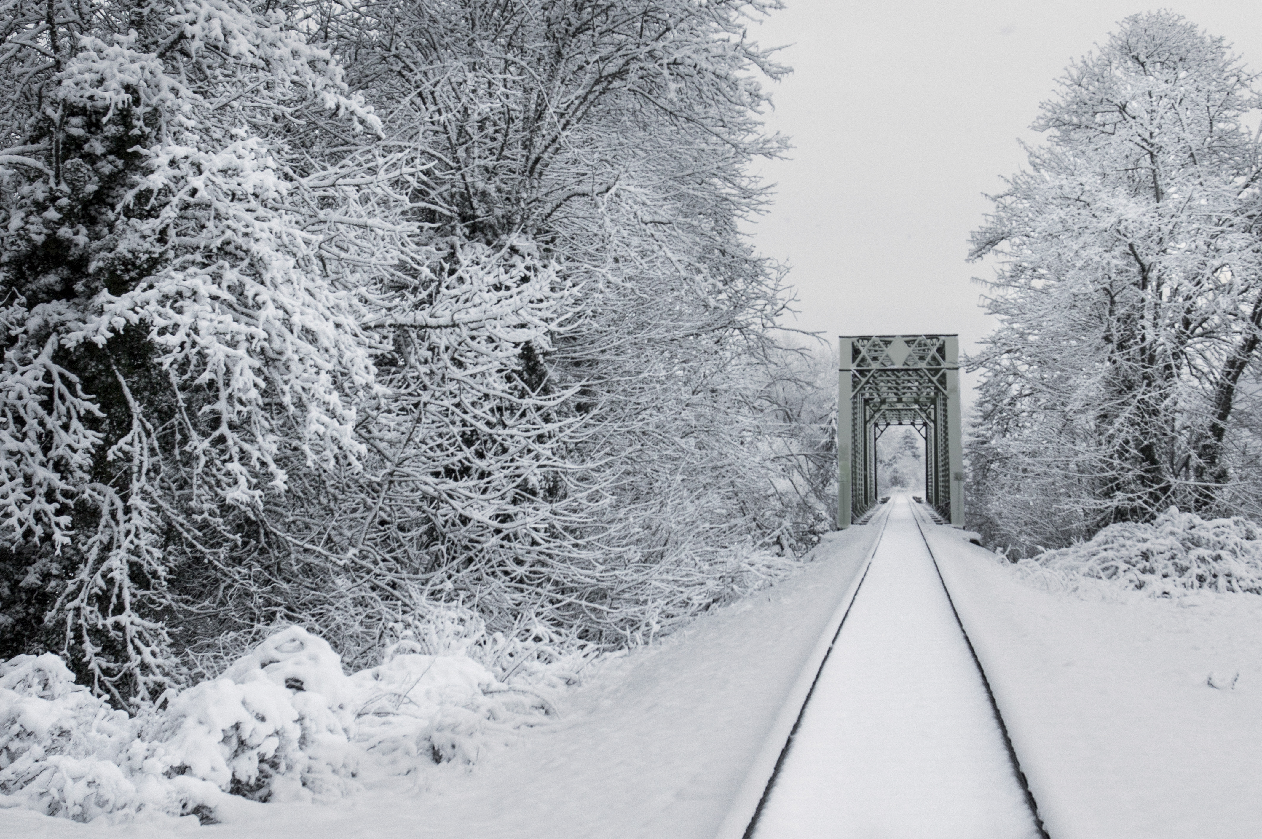 Download mobile wallpaper Bridge, Trees, Snow, Nature, Winter, Railway for free.