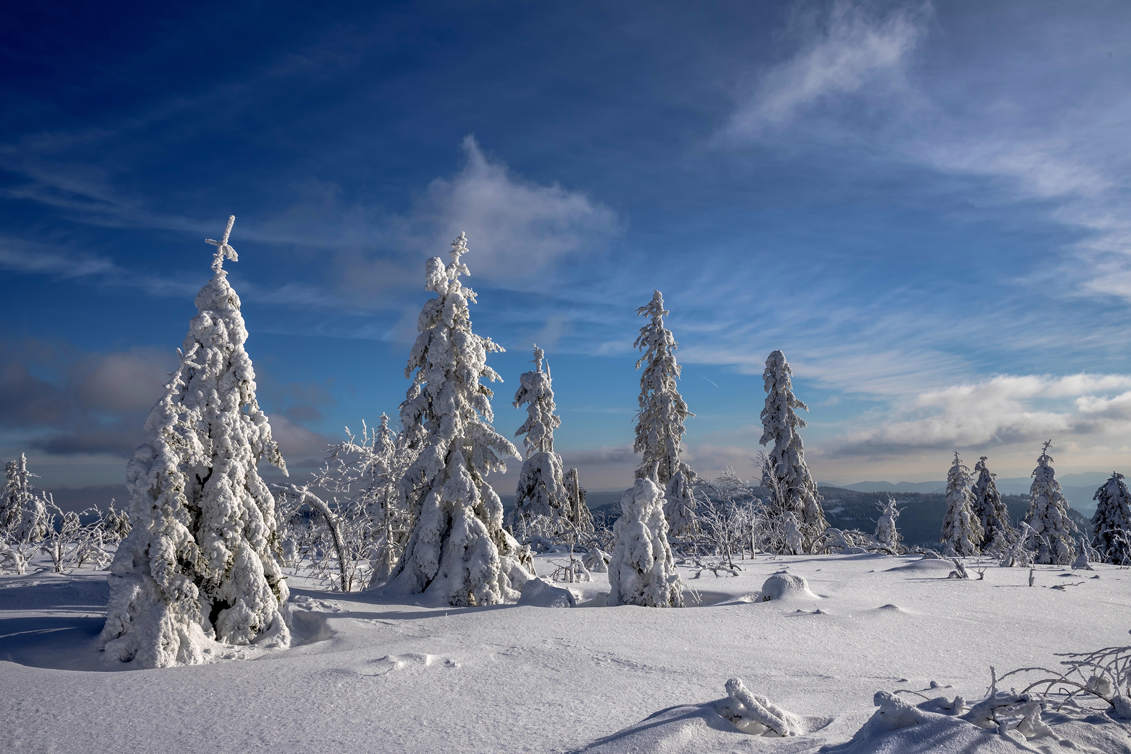 Descarga gratis la imagen Invierno, Naturaleza, Nieve, Árbol, Tierra/naturaleza en el escritorio de tu PC