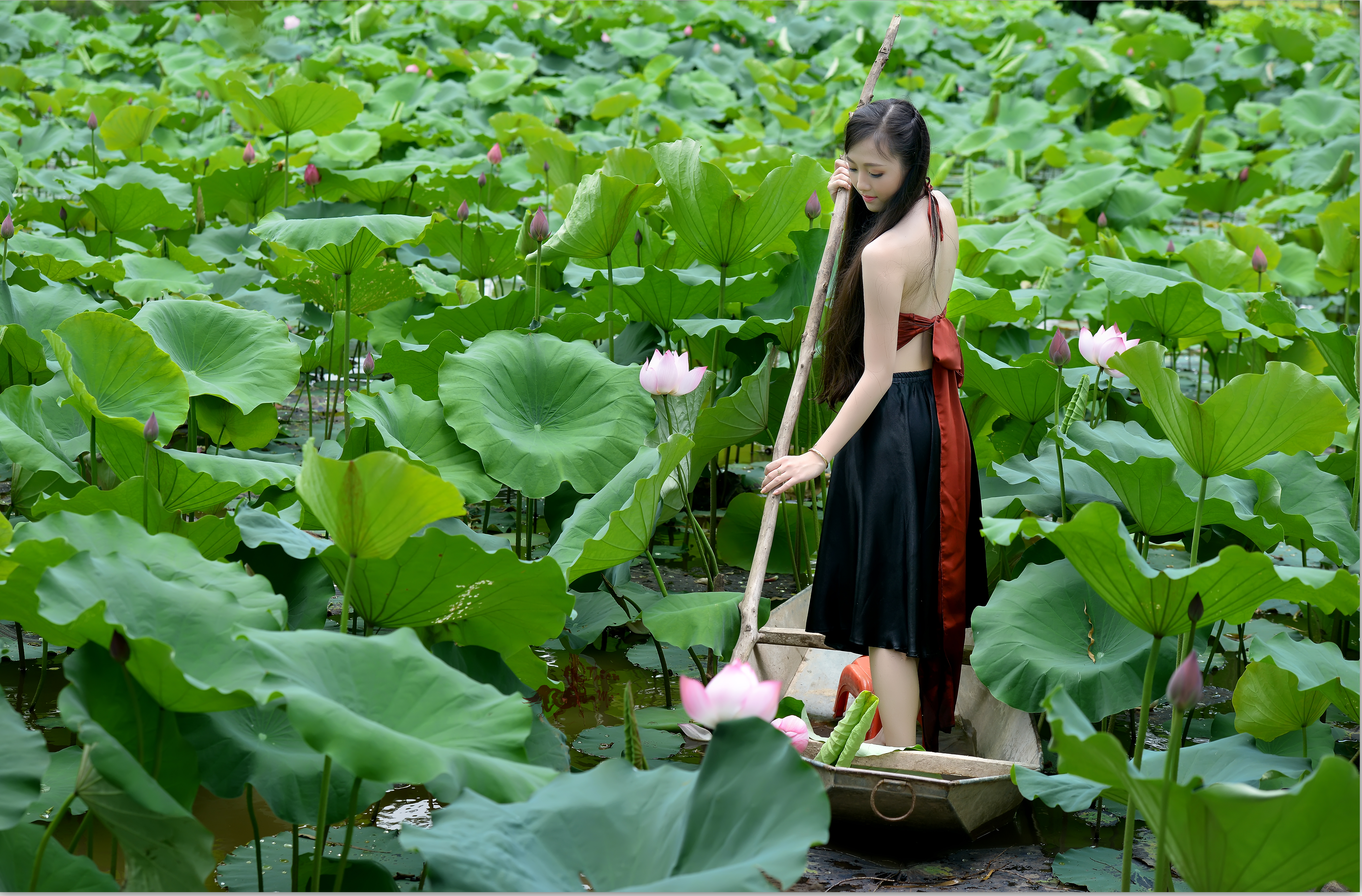1523140 télécharger le fond d'écran femmes, asiatique, bateau, fleur, feuille, lotus, étang, punt pôle, vietnamien - économiseurs d'écran et images gratuitement