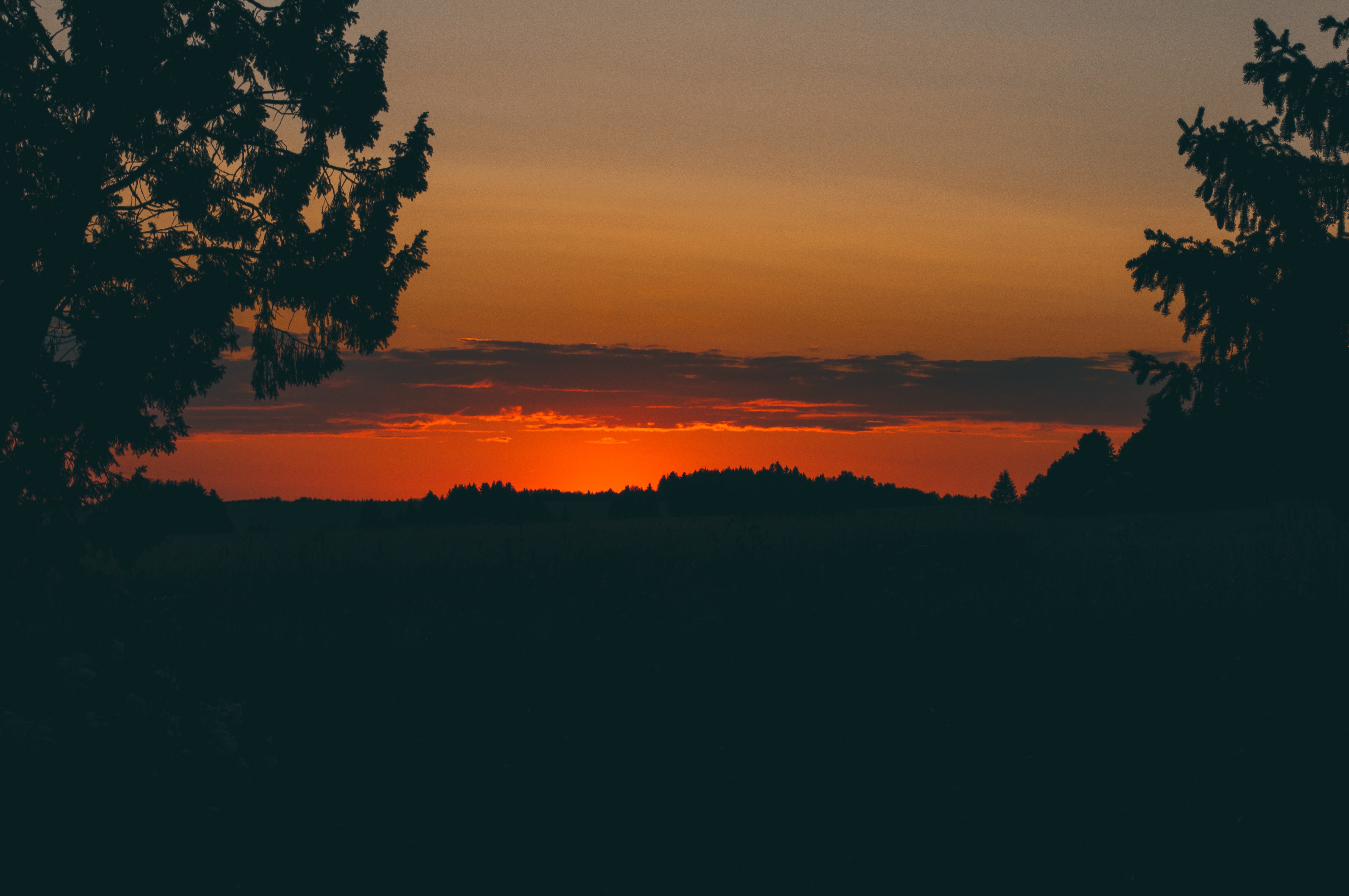 Laden Sie das Natur, Bäume, Horizont, Sunset-Bild kostenlos auf Ihren PC-Desktop herunter