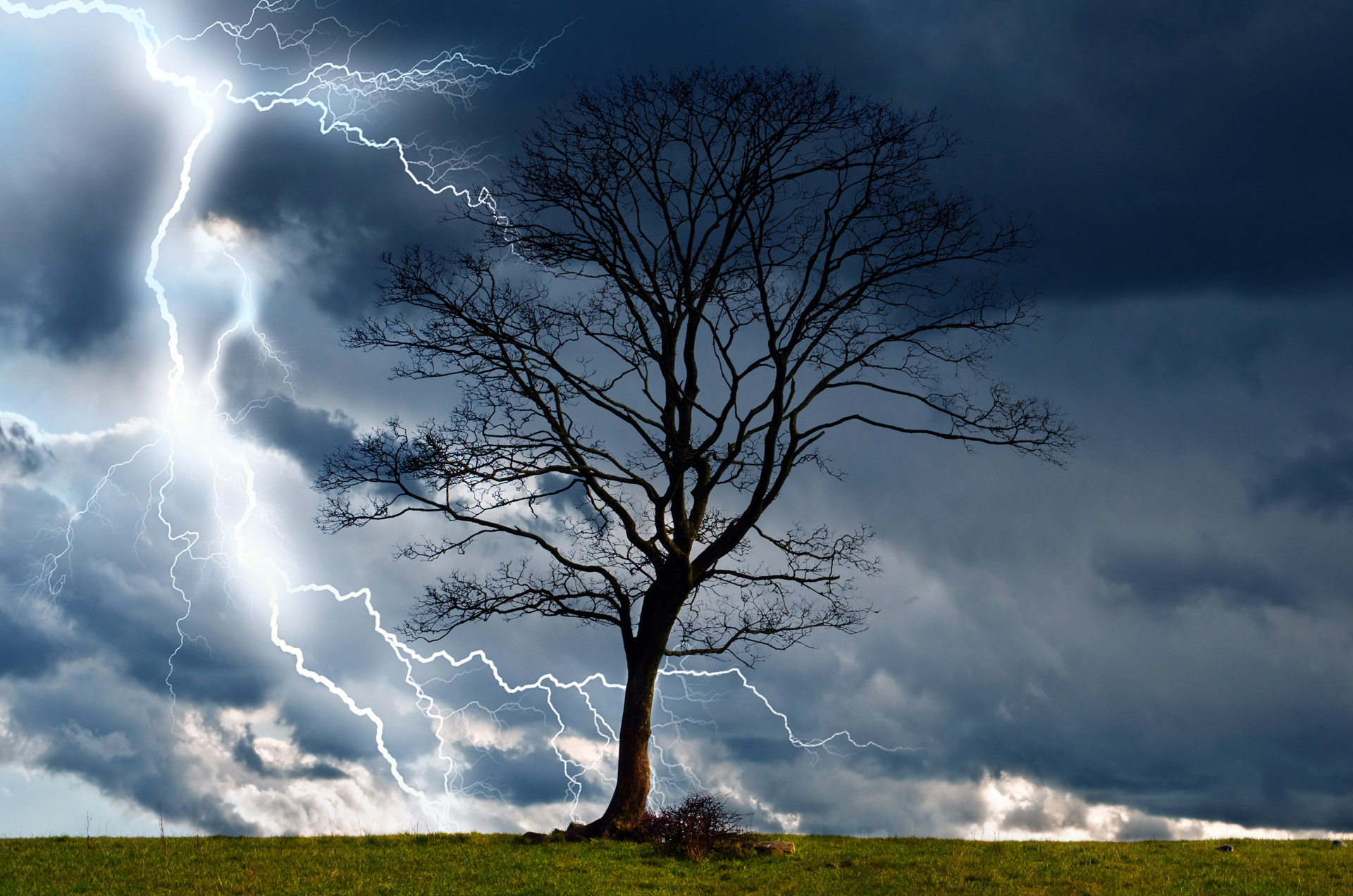 Скачать обои бесплатно Дерево, Молния, Буря, Земля/природа картинка на рабочий стол ПК