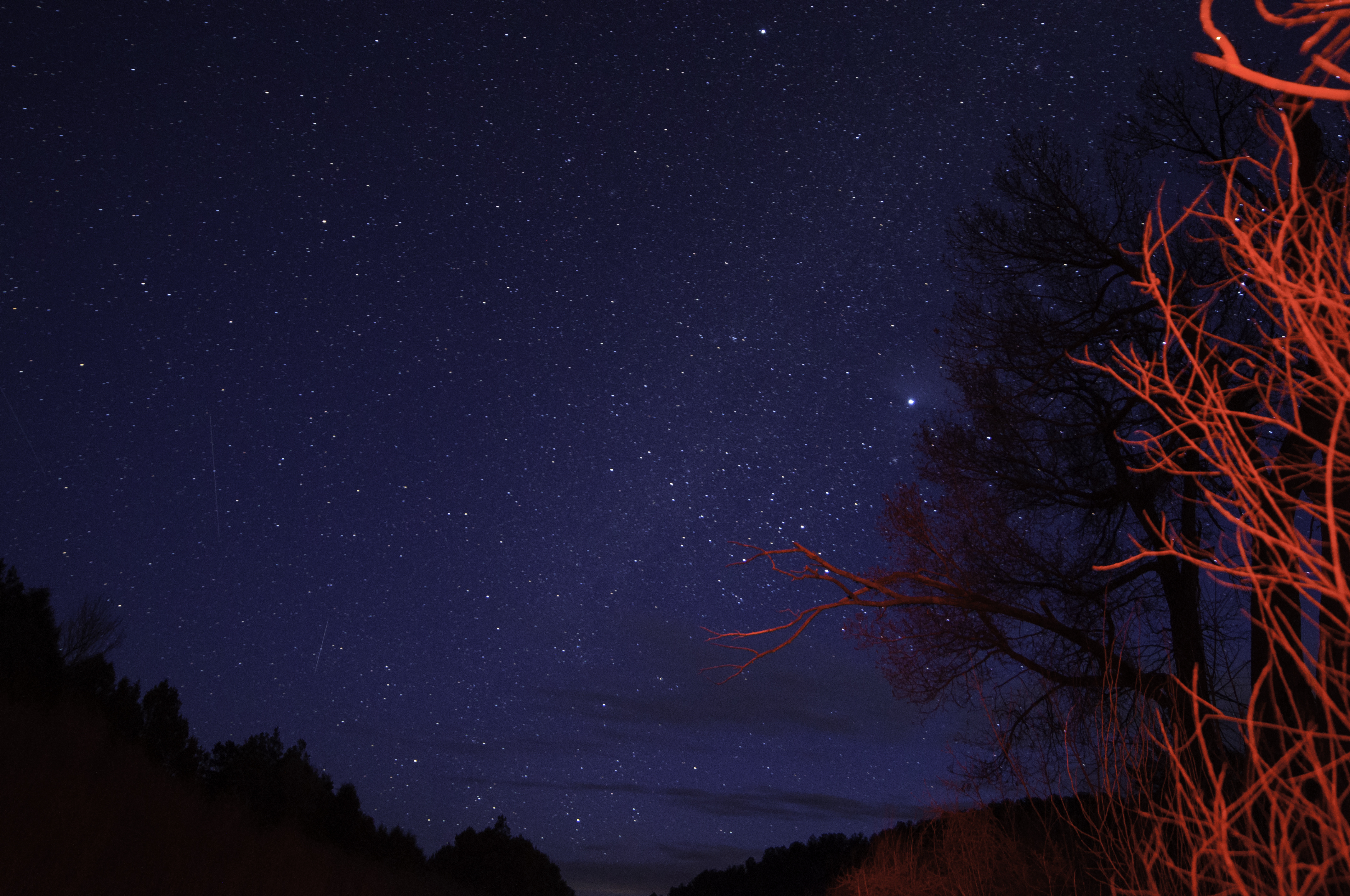 Download mobile wallpaper Branches, Nature, Trees, Dusk, Twilight, Starry Sky, Night for free.