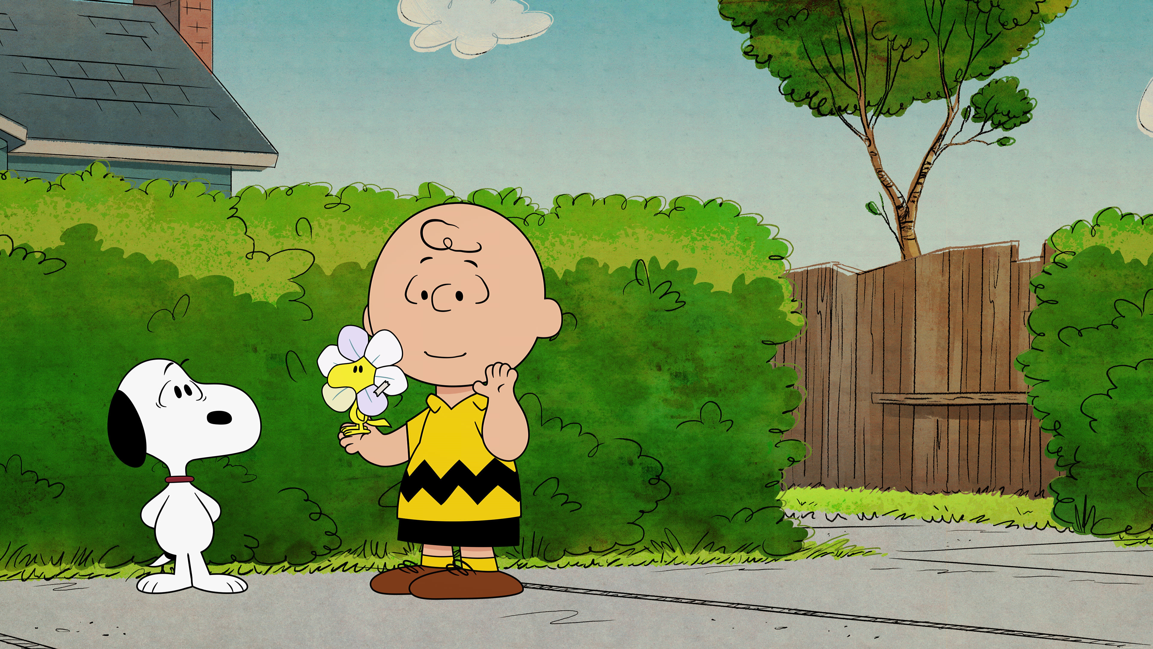 Die besten Die Snoopy Show-Hintergründe für den Telefonbildschirm