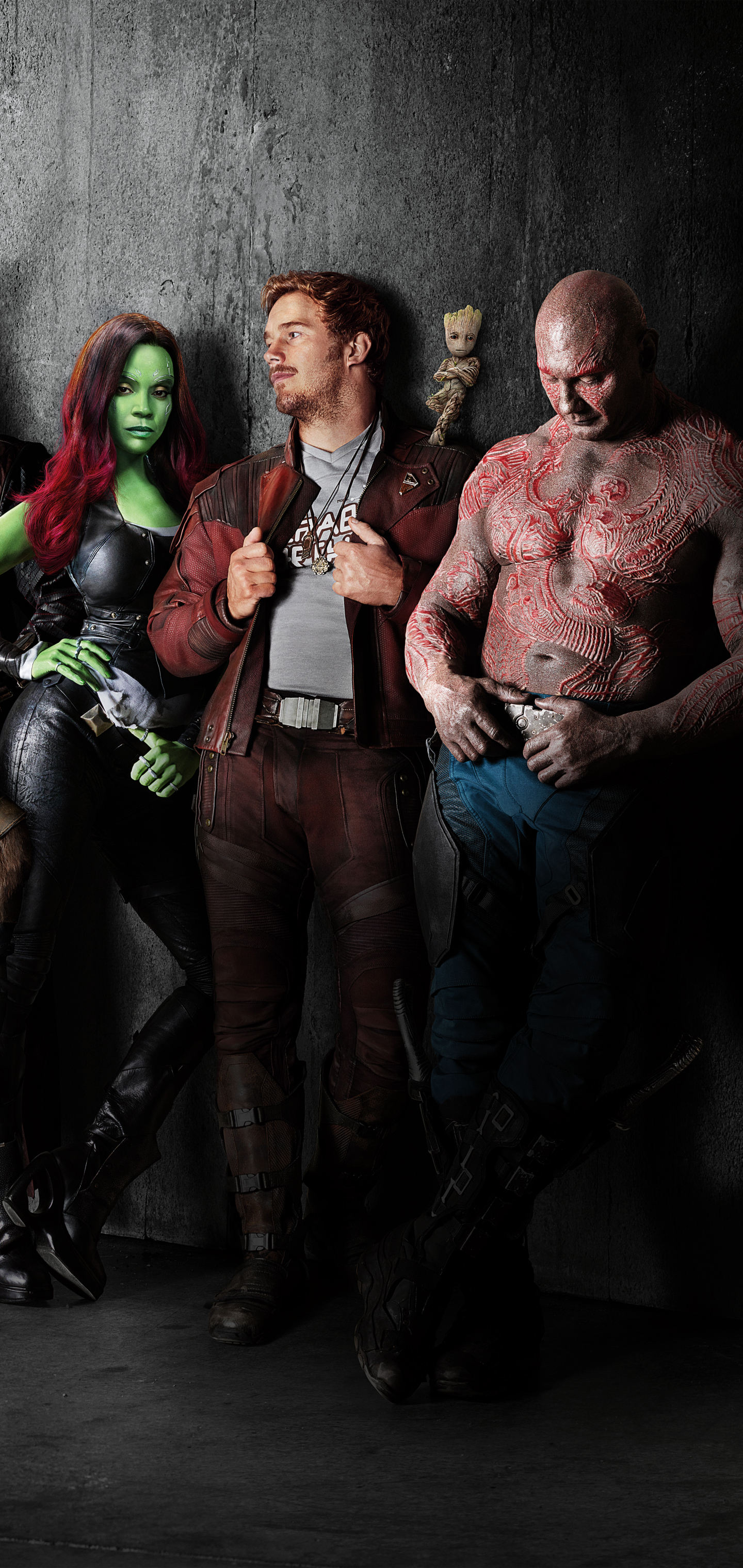Download mobile wallpaper Movie, Zoe Saldana, Star Lord, Drax The Destroyer, Gamora, Groot, Chris Pratt, Dave Bautista, Peter Quill, Guardians Of The Galaxy Vol 2, Baby Groot for free.