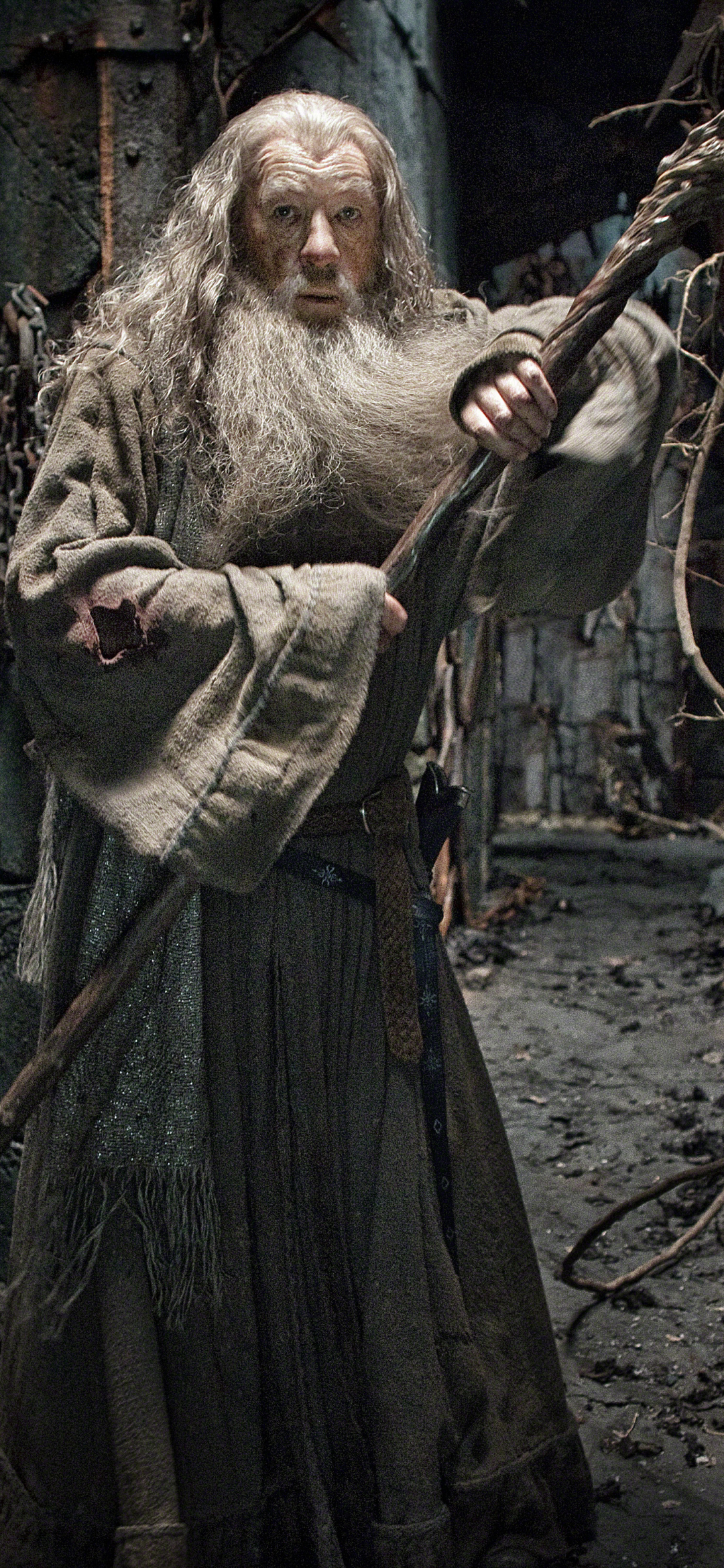 Descarga gratuita de fondo de pantalla para móvil de El Señor De Los Anillos, Películas, Gandalf, Ian Mckellen, El Hobbit: La Desolación De Smaug.