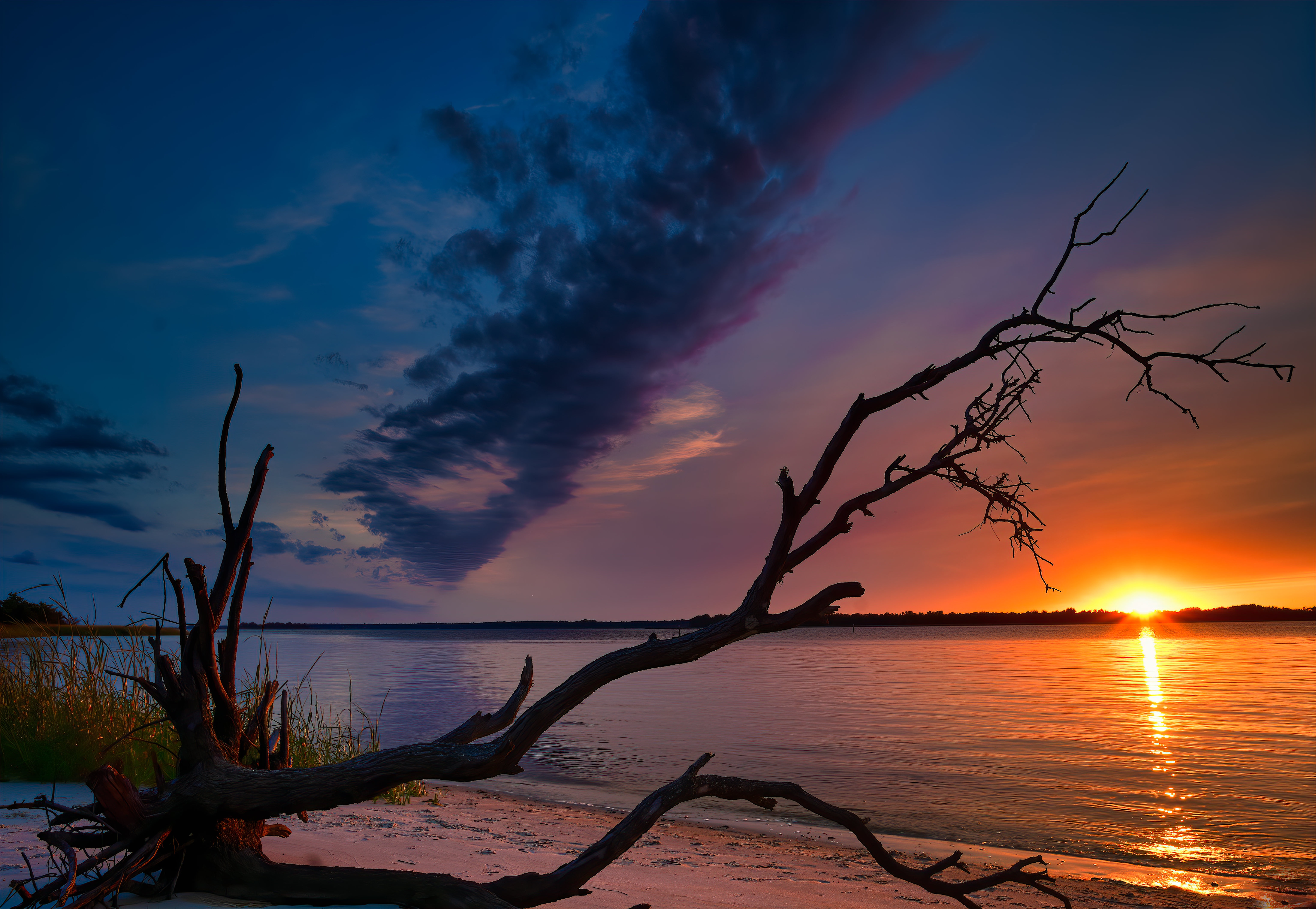 PCデスクトップに川, 木, 日没, 地球, 空, ノースカロライナ州画像を無料でダウンロード