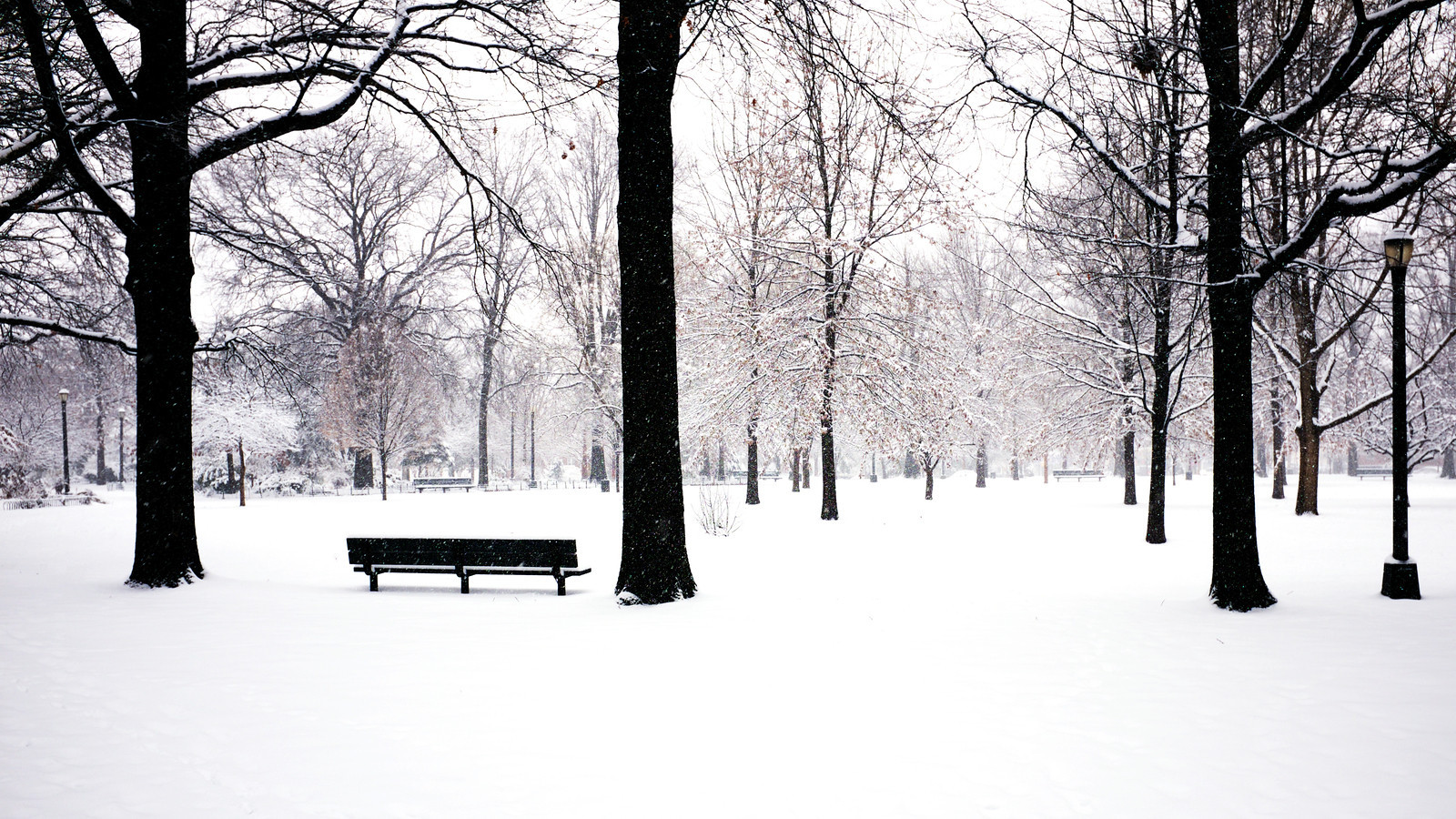 Laden Sie das Winter, Schnee, Park, Baum, Fotografie-Bild kostenlos auf Ihren PC-Desktop herunter