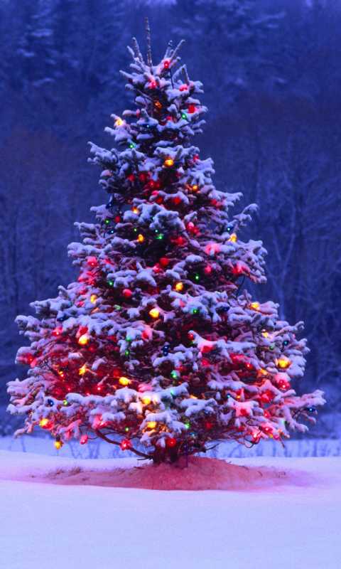 Download mobile wallpaper Christmas, Holiday, Christmas Tree, Christmas Lights for free.