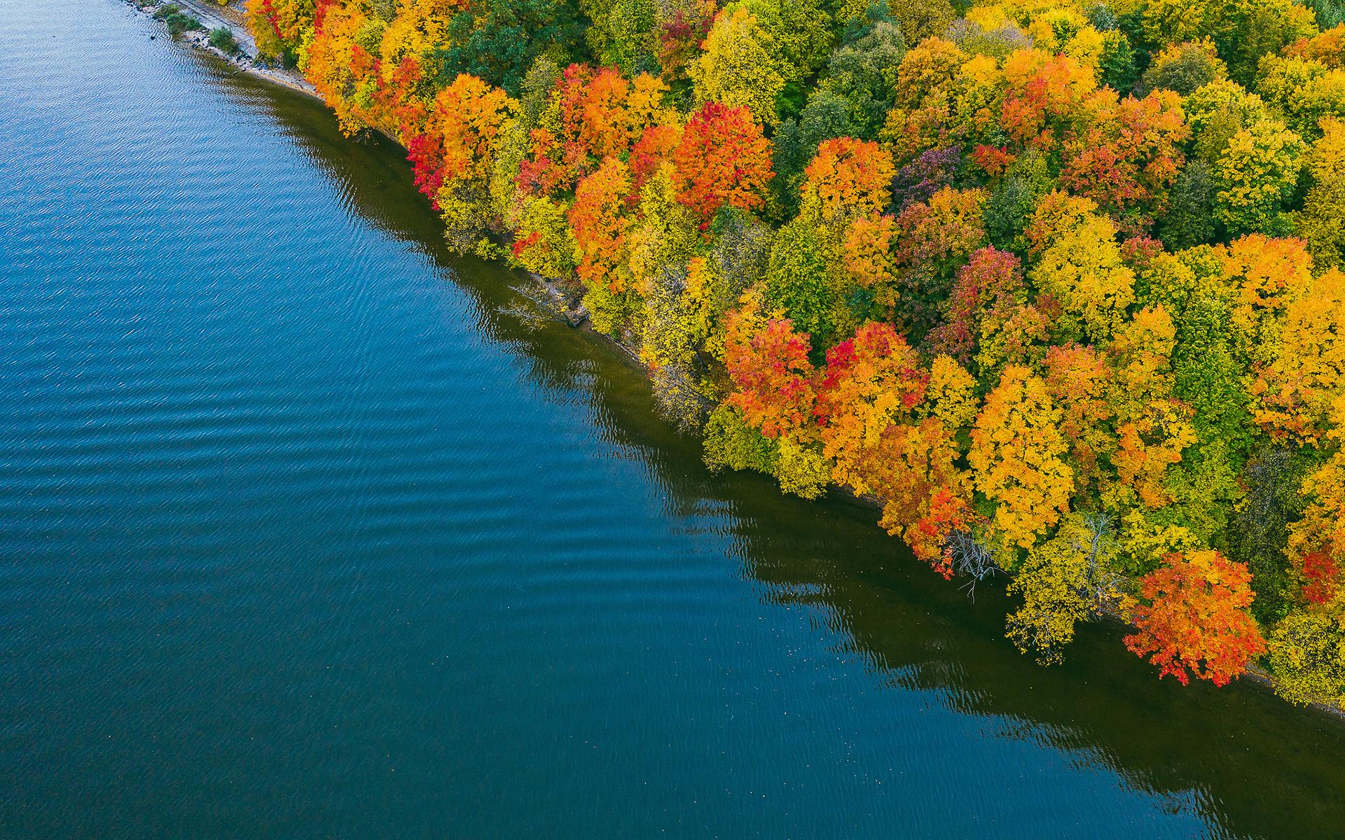 Download mobile wallpaper Lake, Forest, Fall, Photography, Aerial for free.