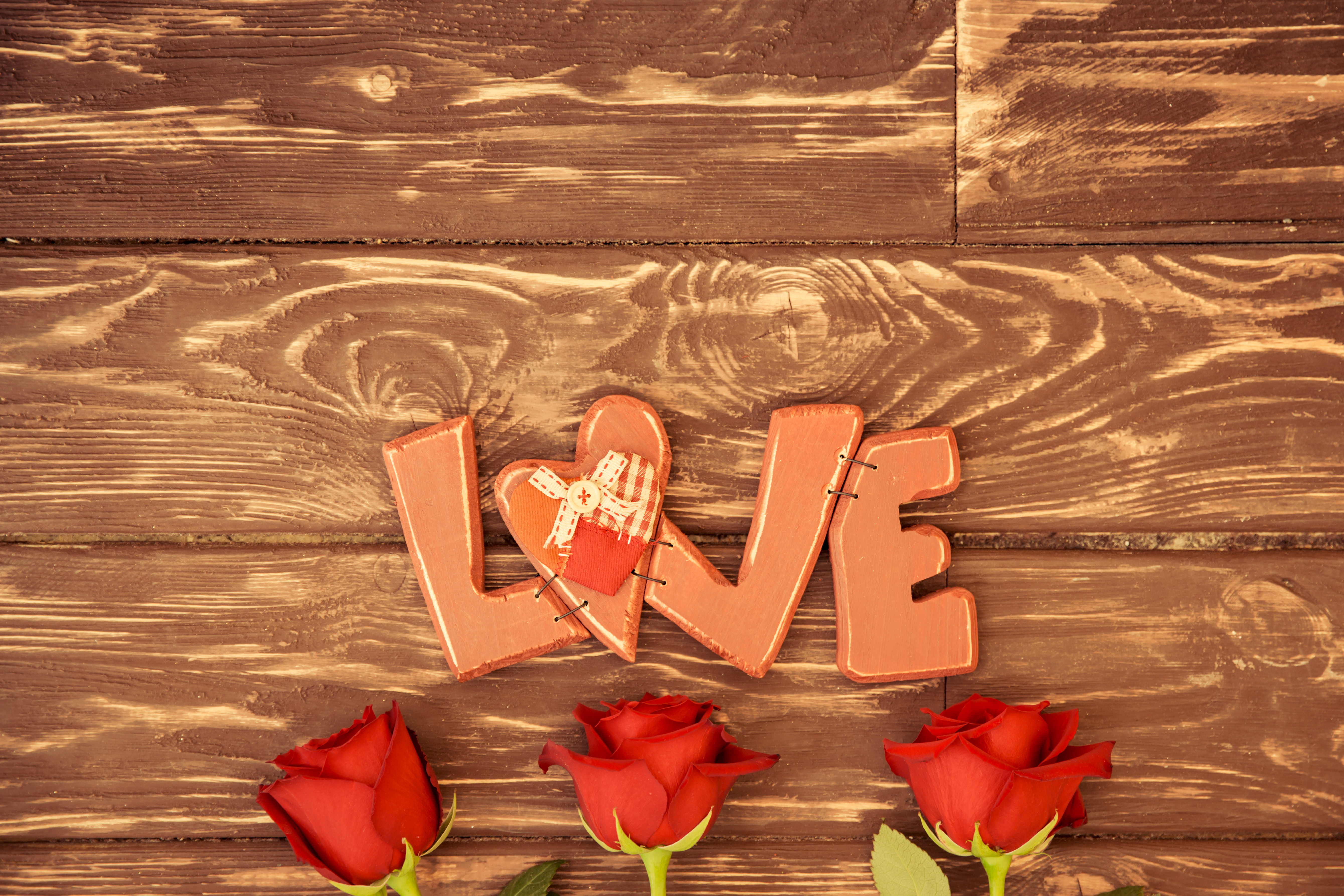 Free download wallpaper Love, Rose, Photography, Red Rose on your PC desktop