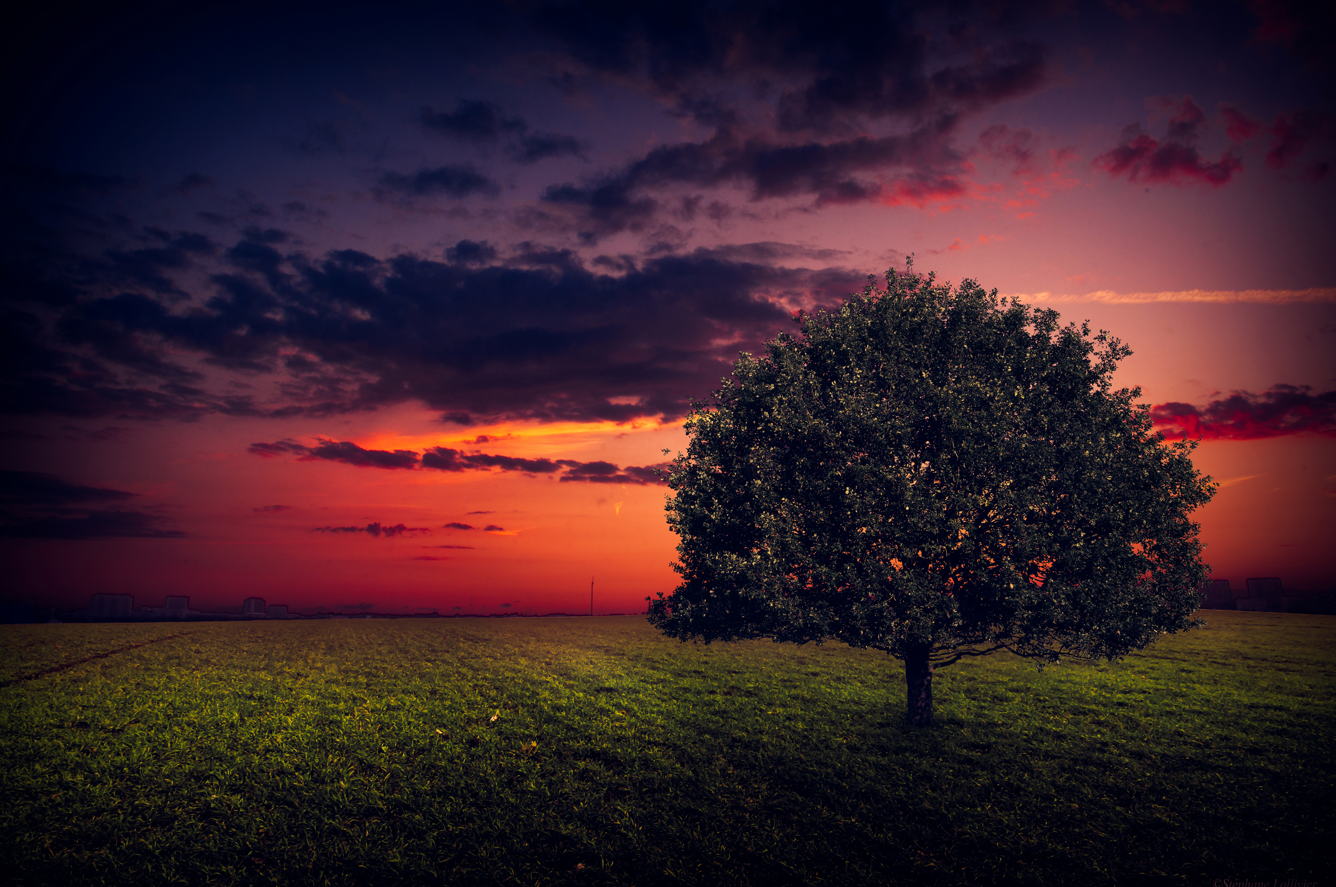 Download mobile wallpaper Landscape, Nature, Trees, Sunset, Sky, Tree, Earth, Field, Cloud, Lonely Tree for free.