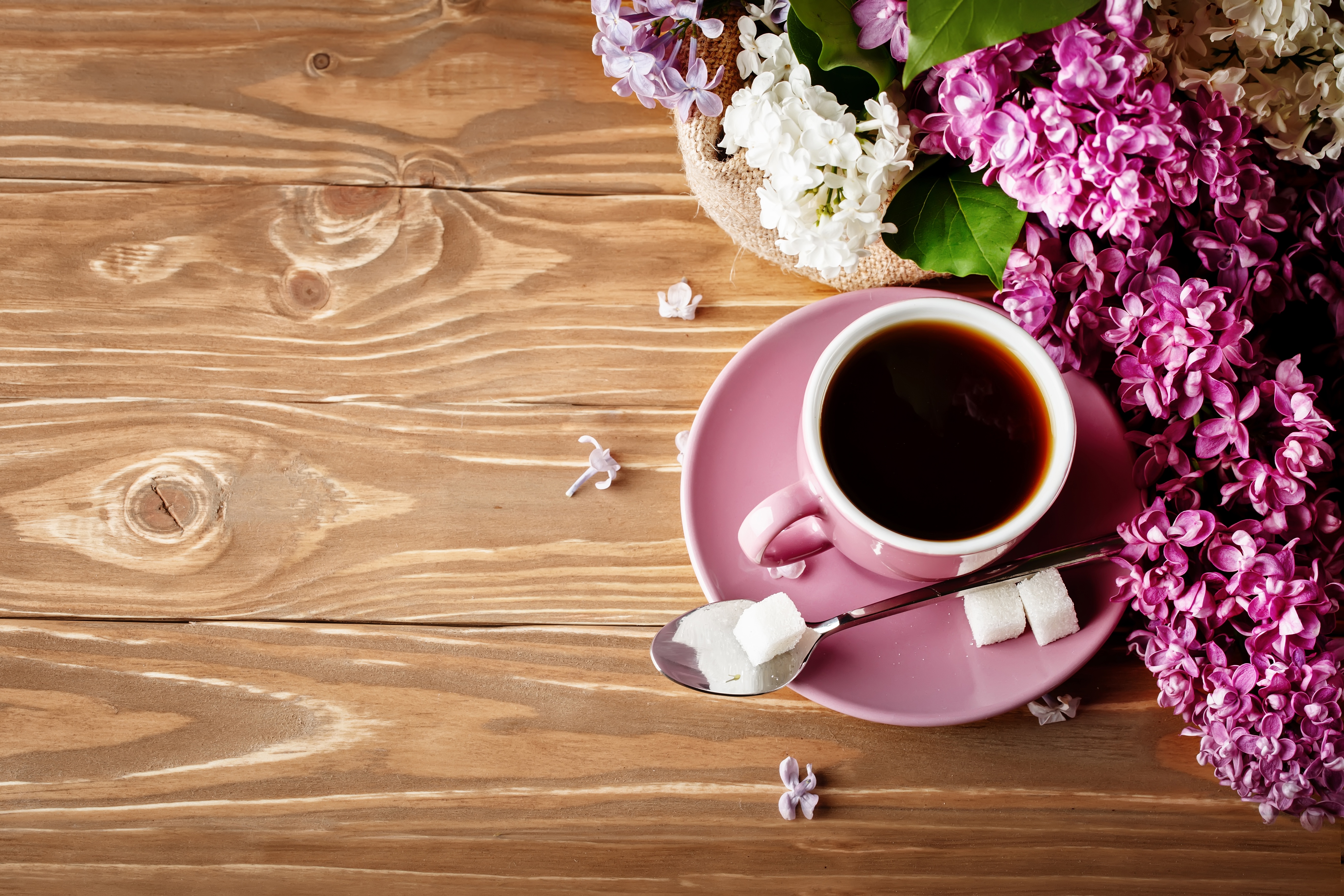 Handy-Wallpaper Blume, Tasse, Nahrungsmittel, Stillleben, Kaffee kostenlos herunterladen.