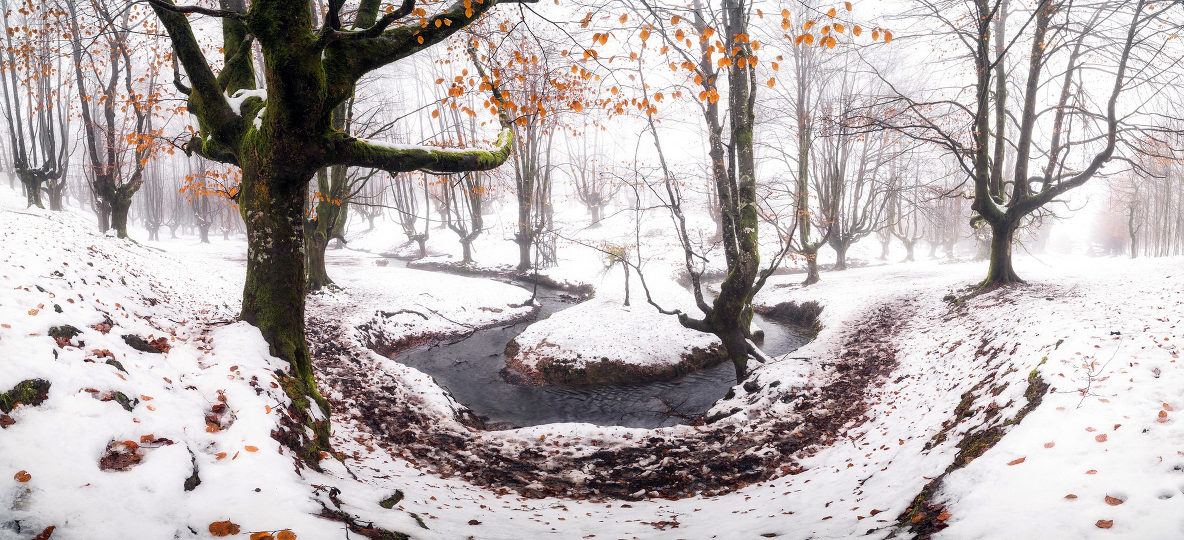 Скачать картинку Зима, Природа, Снег, Дерево, Ручей, Земля/природа в телефон бесплатно.