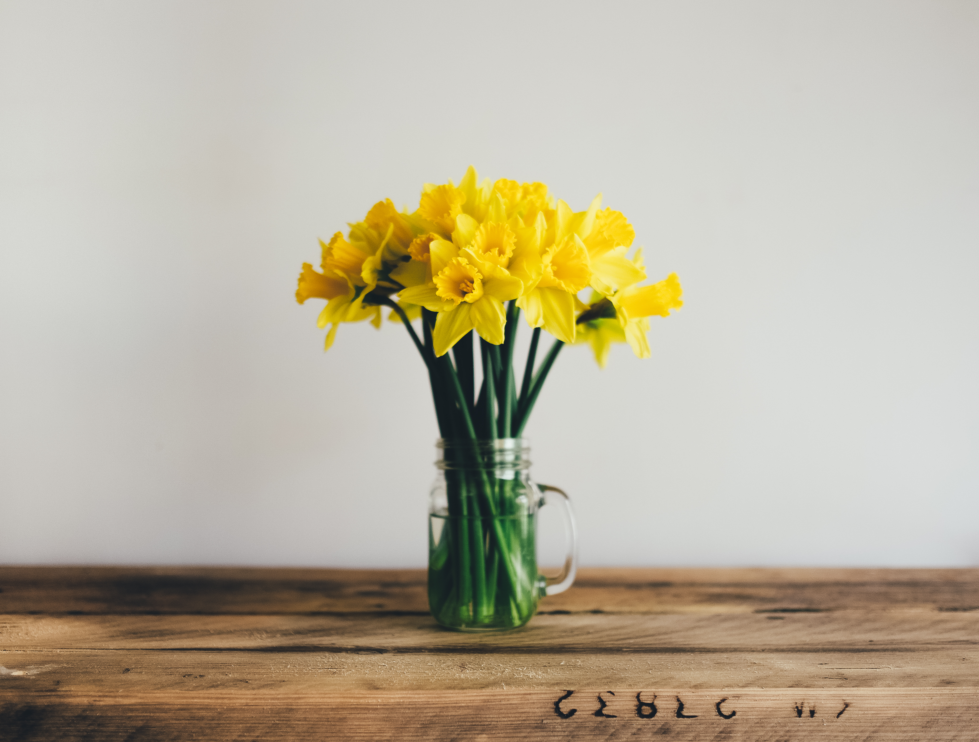 Téléchargez des papiers peints mobile Fleurs, Narcisses, Bouquet, Vase gratuitement.