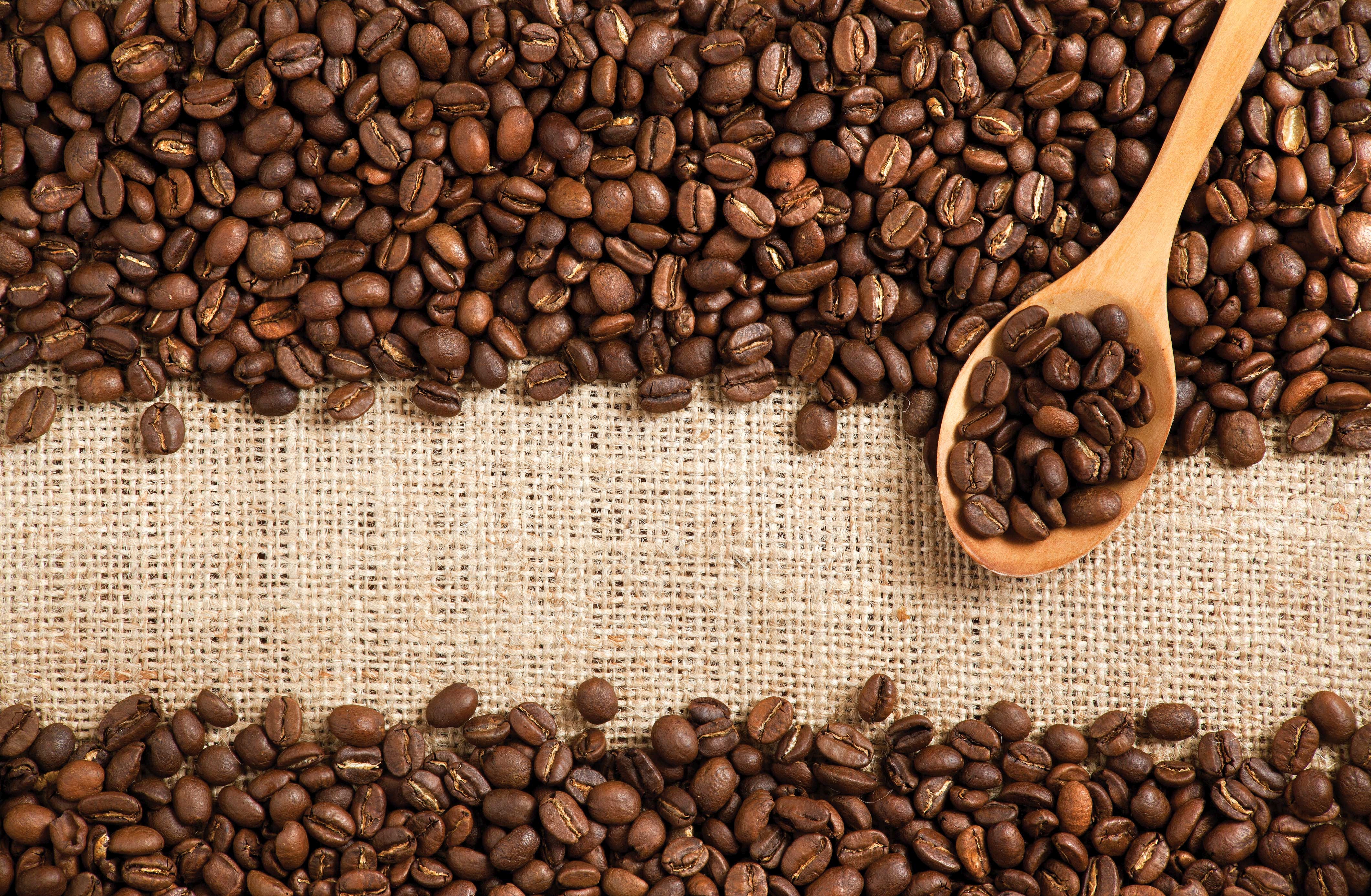 Download mobile wallpaper Food, Coffee, Coffee Beans for free.
