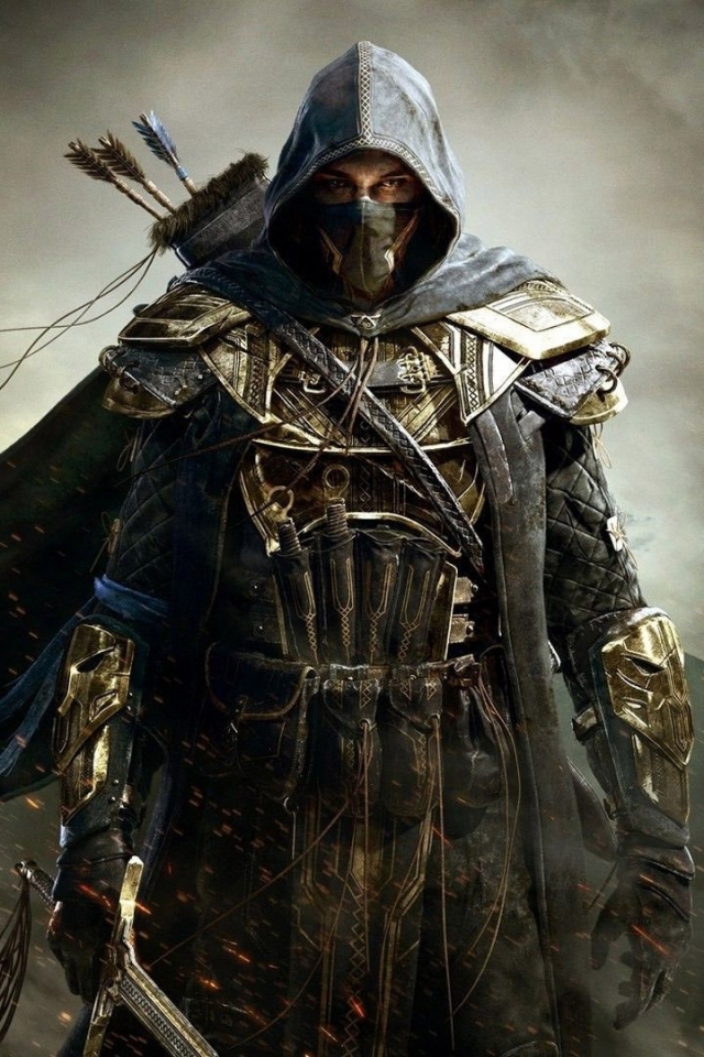 Download mobile wallpaper Warrior, Armor, Archer, Assassin, Video Game, The Elder Scrolls, The Elder Scrolls Online for free.