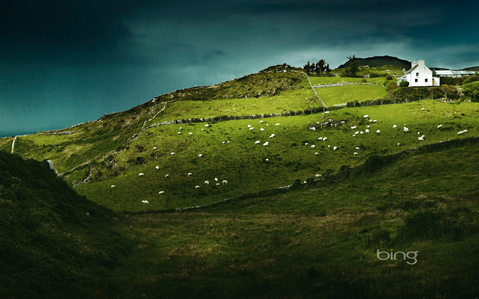 602242 Hintergrundbild herunterladen tiere, schaf, haus, irland, landschaft - Bildschirmschoner und Bilder kostenlos