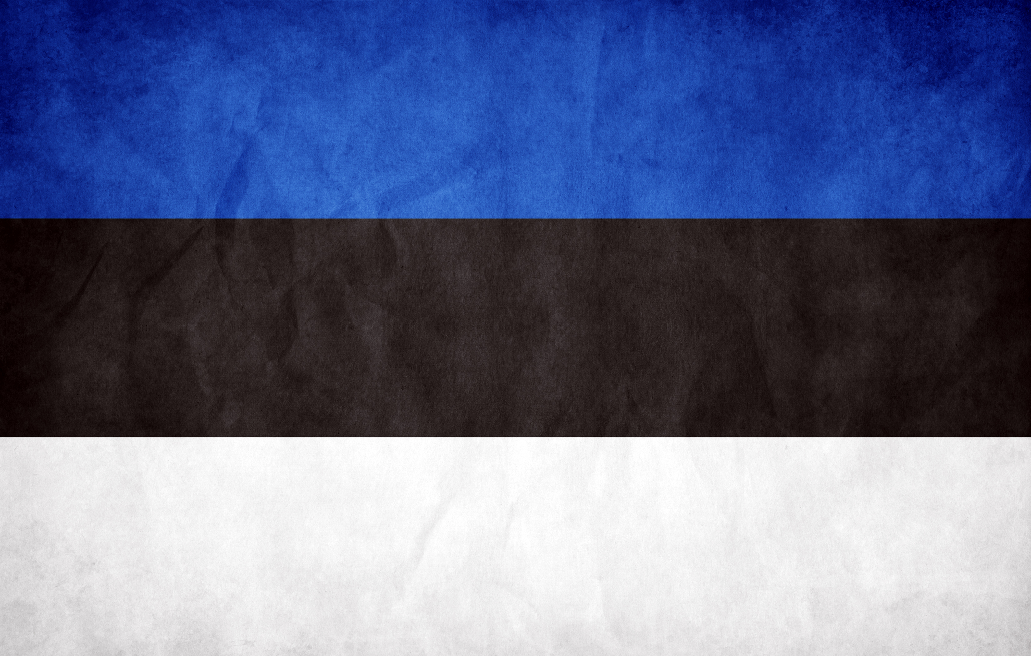 Скачать обои Флаг Эстонии на телефон бесплатно